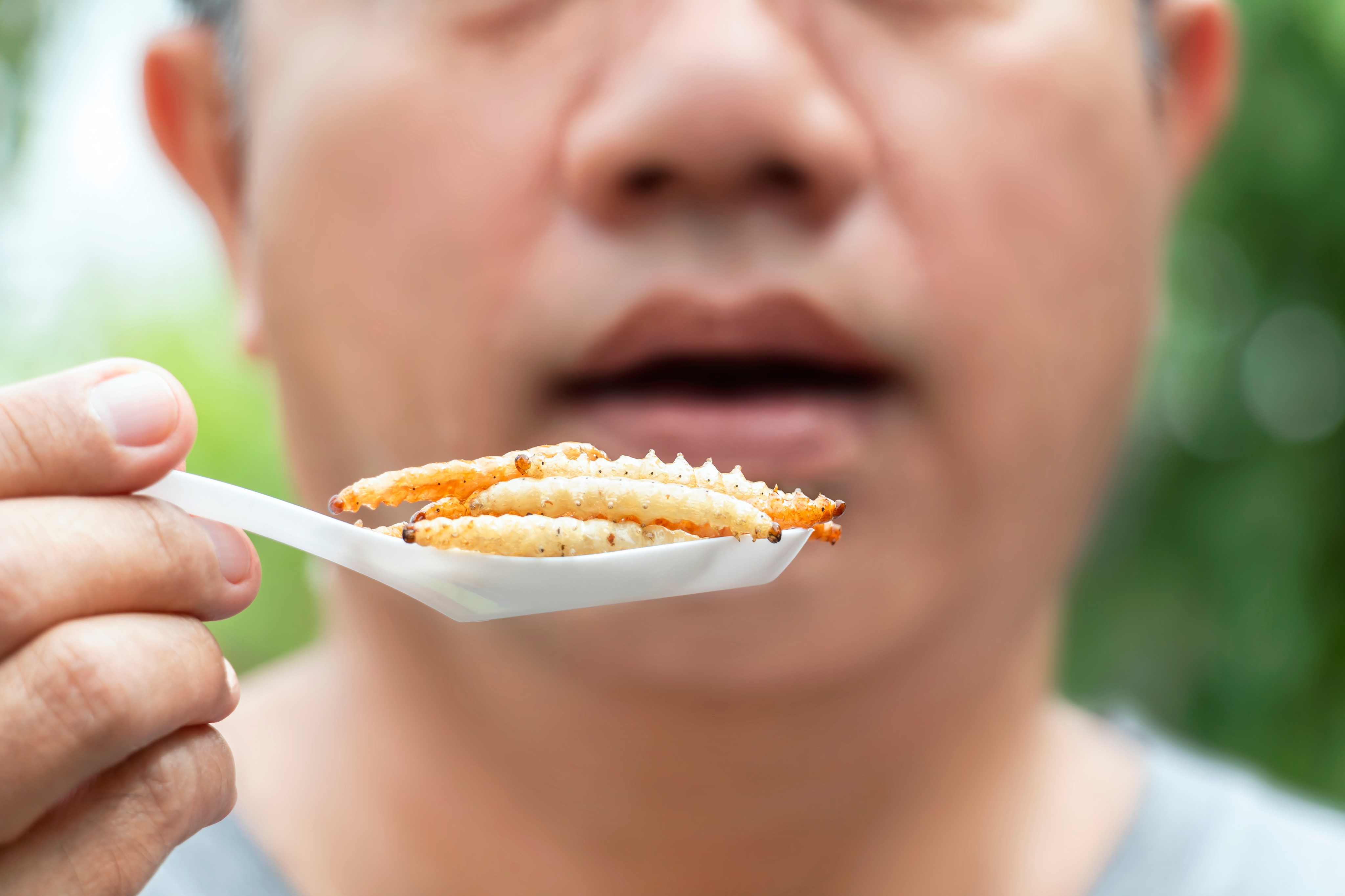 A man holds a spoon full of bamboo worms, thought to be a good source of protein. Photo: Shutterstock