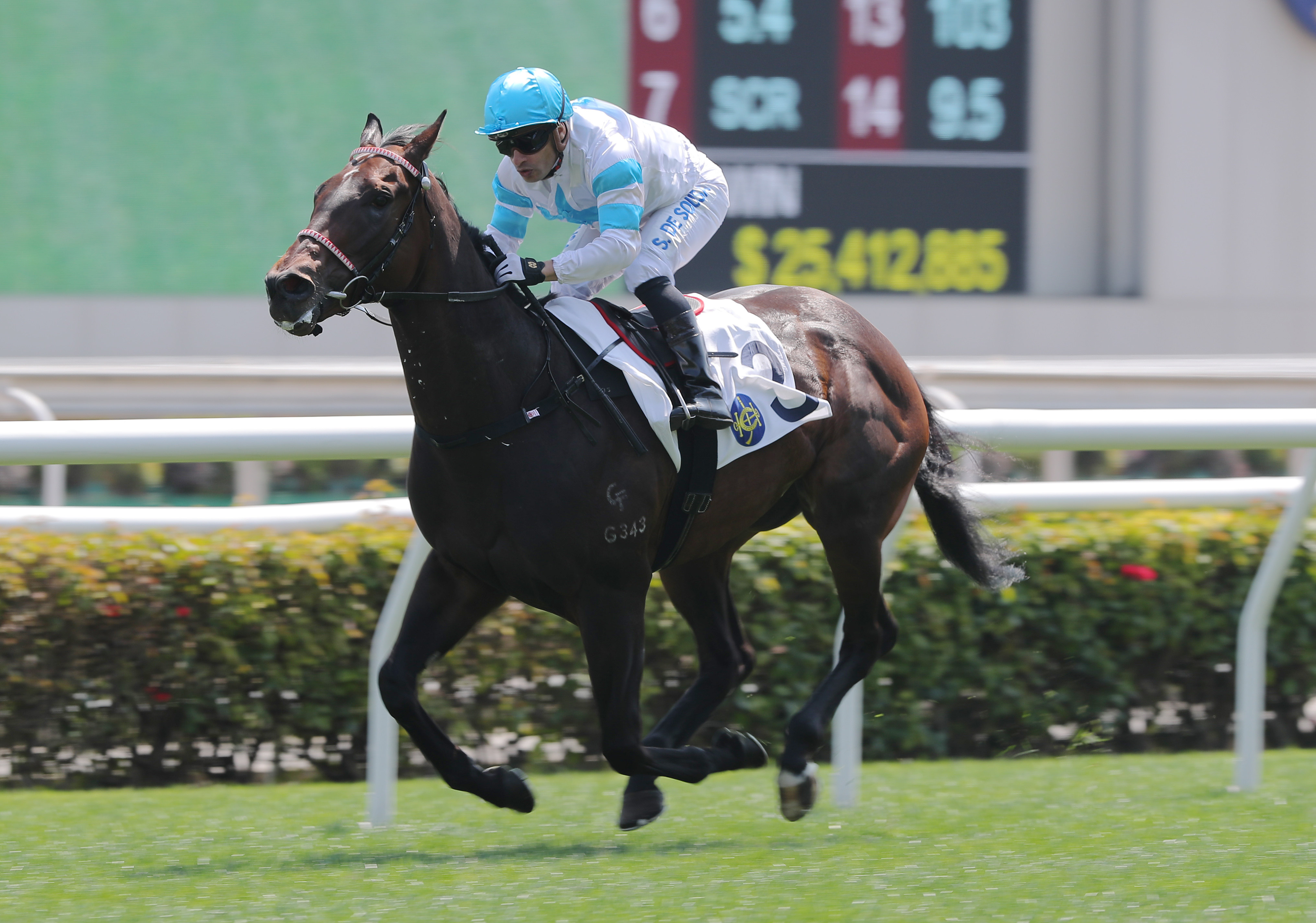 Ricky Yiu’s Excellent Fighter salutes under Silvestre de Sousa at Sha Tin on Sunday. Photo: Kenneth Chan