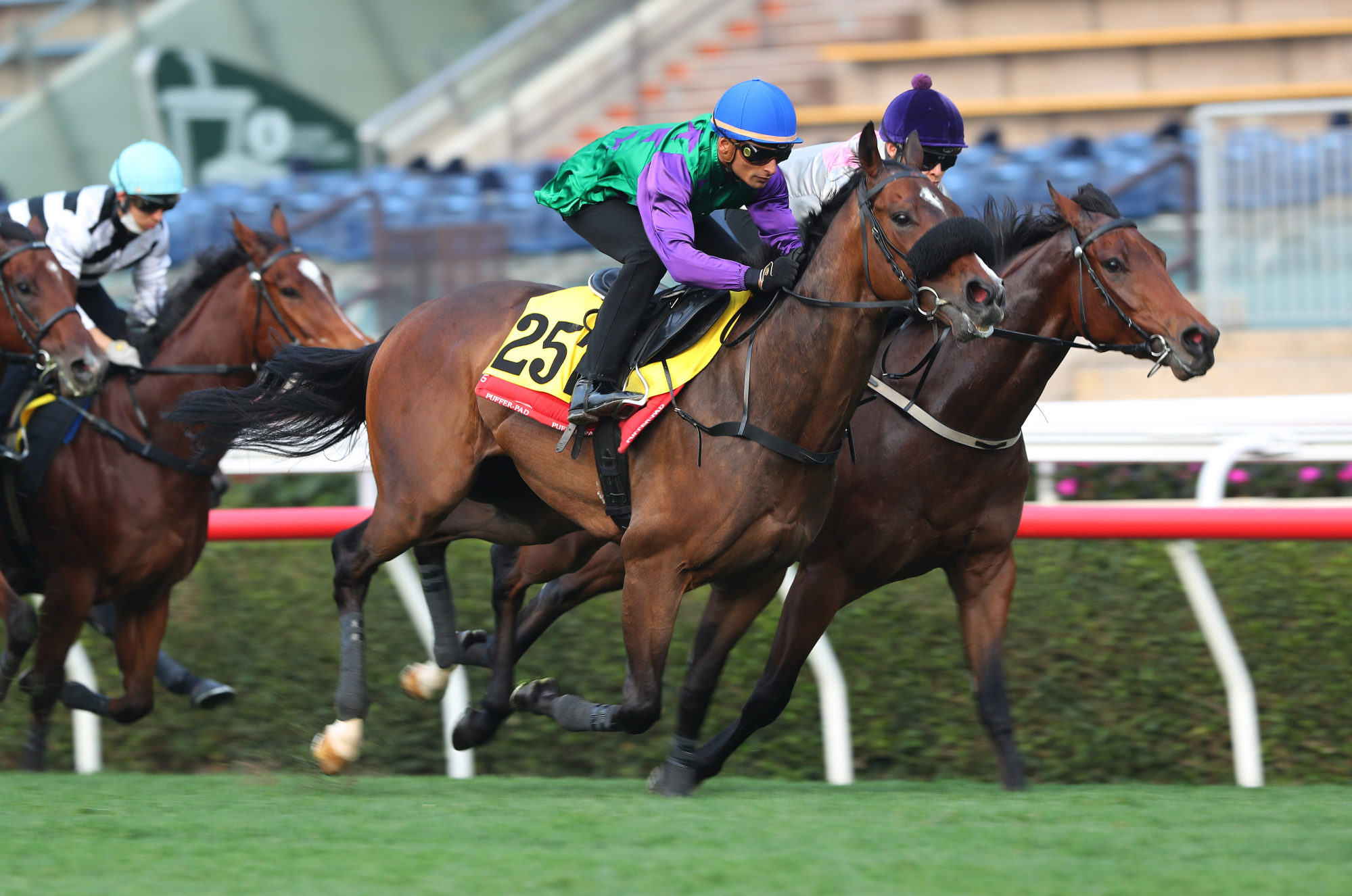 Flaming Rabbit (purple and green colours) trials at Sha Tin.