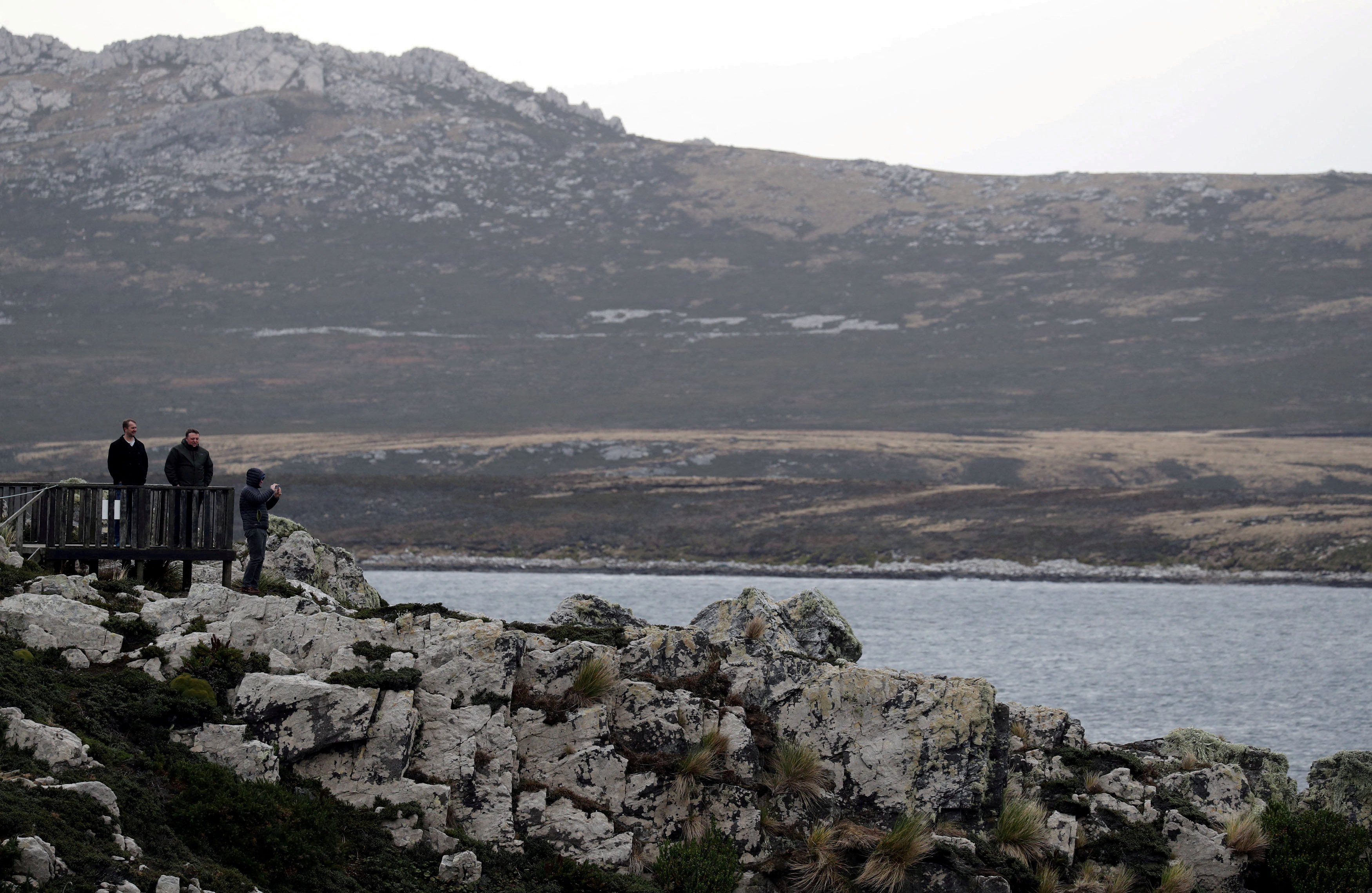 Gypsy Cove, near Port Stanley, Falkland Islands. Photo: Reuters