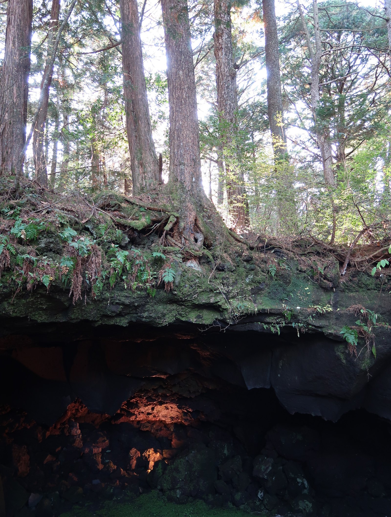 The entrance to the Narusawa Hyoketsu ice cave. Photo: Julian Ryall