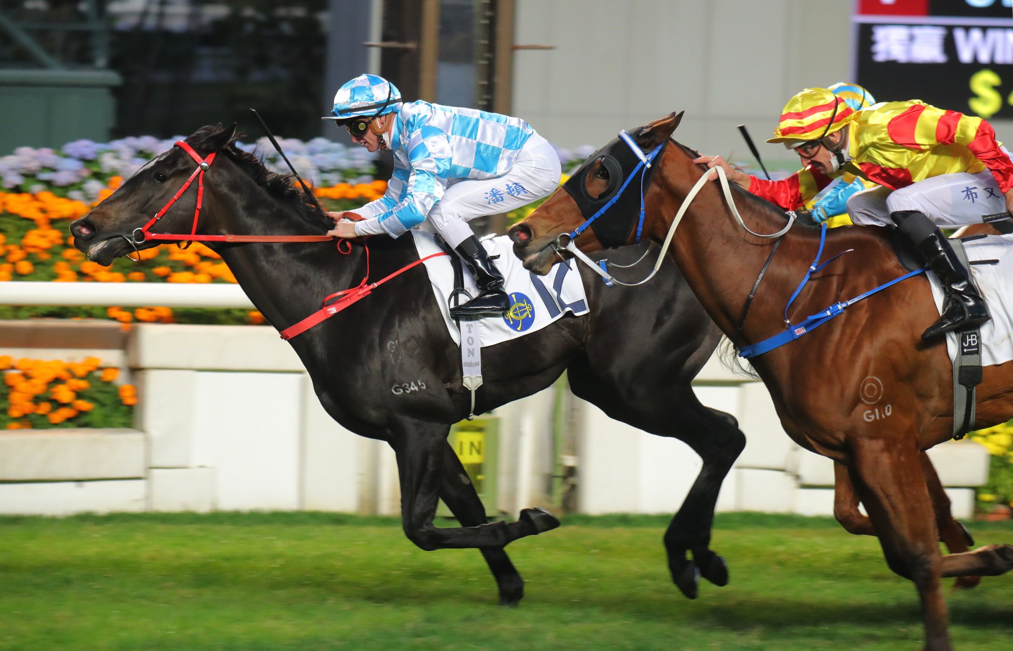 Tuchel takes out a Class Two under Zac Purton at Sha Tin in January.