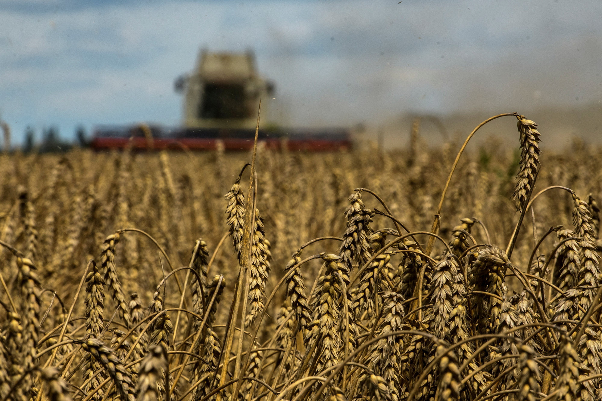 Russia agrees to 60-day Ukraine grain deal extension | South China ...