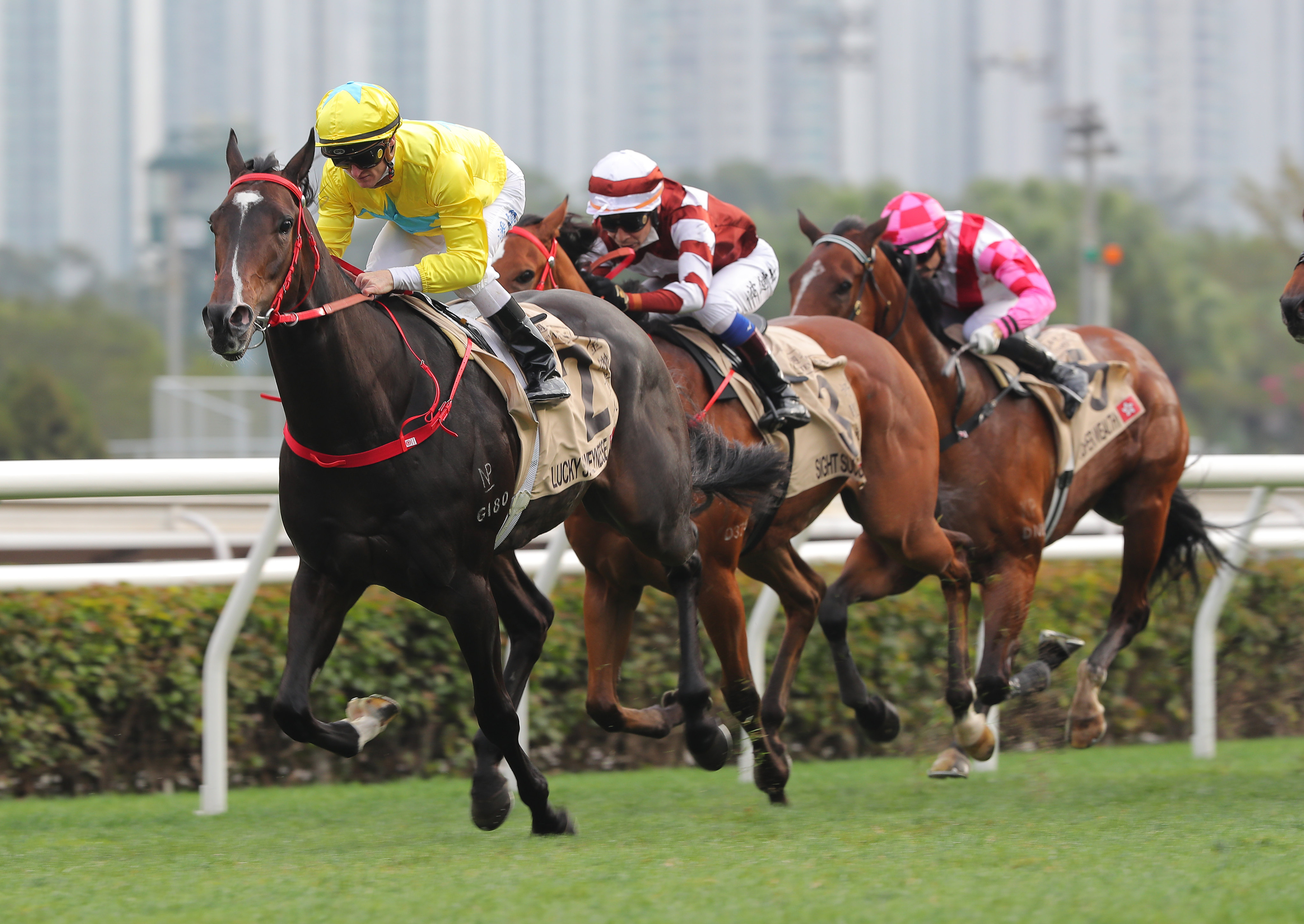 Lucky Sweynesse wins last month’s Centenary Sprint Cup. Photos: Kenneth Chan