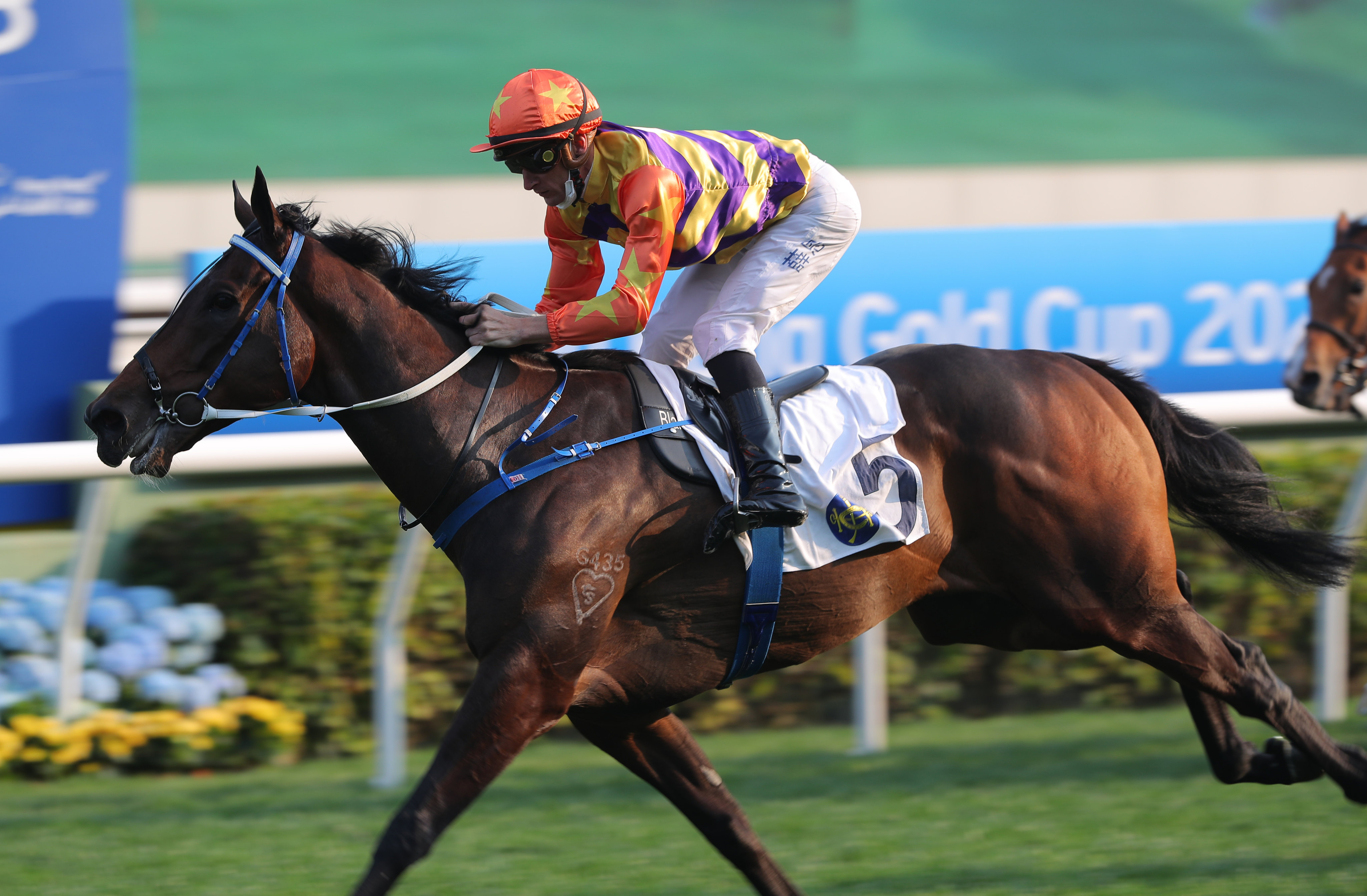 Straight Arron wins a Class Three race over 1,800m under Blake Shinn at Sha Tin on February 26 to book his place in the BMW Hong Kong Derby. Photo: Kenneth Chan