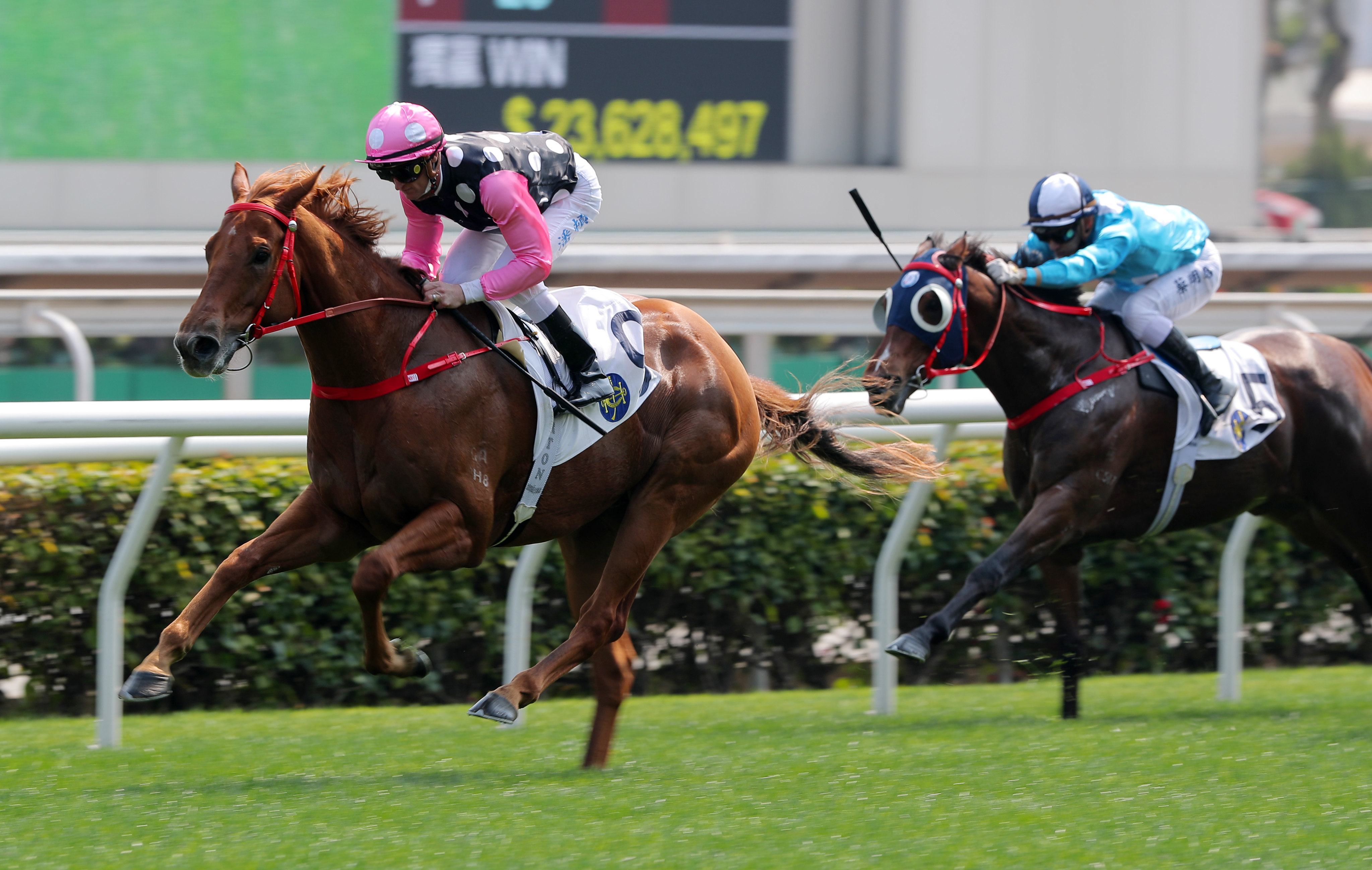 Hong Kong Derby favourite Beauty Eternal salutes at Sha Tin last month. Photos: Kenneth Chan