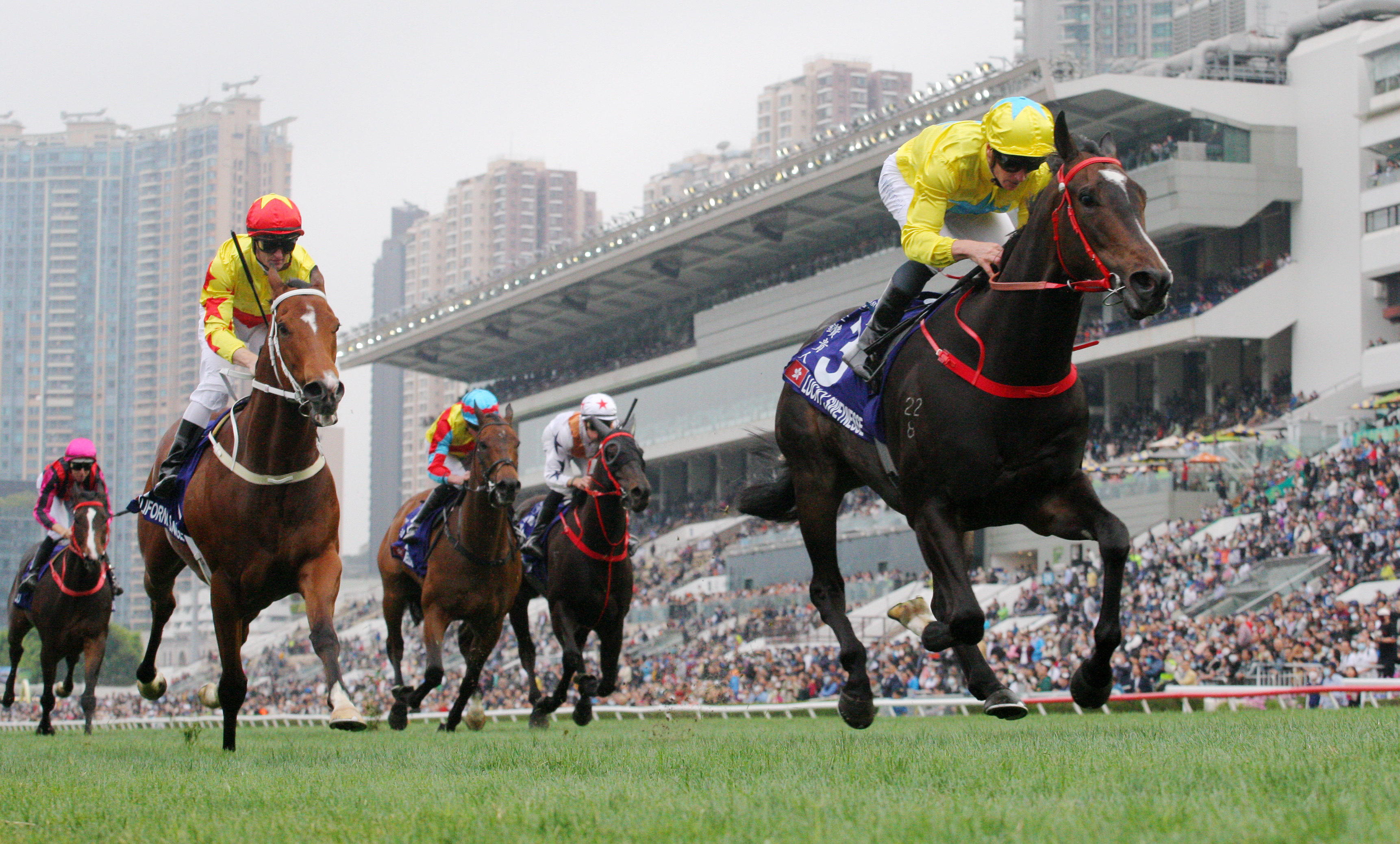 Lucky Sweynesse wins the Group One Queen’s Silver Jubilee Cup (1,400m) under James McDonald at Sha Tin on Sunday. Photos: Kenneth Chan