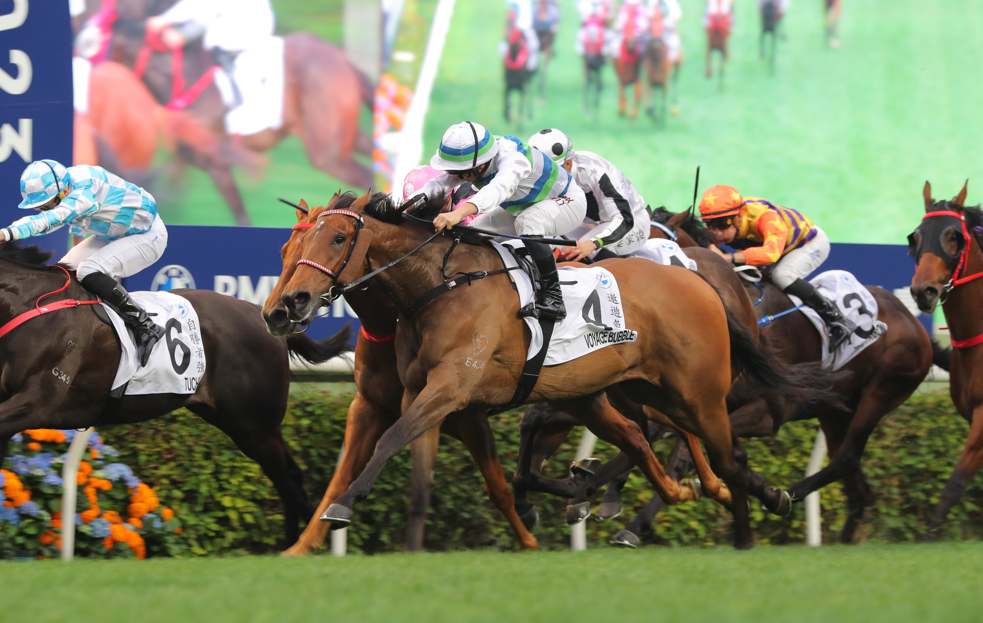 Voyage Bubble wins the Hong Kong Derby.