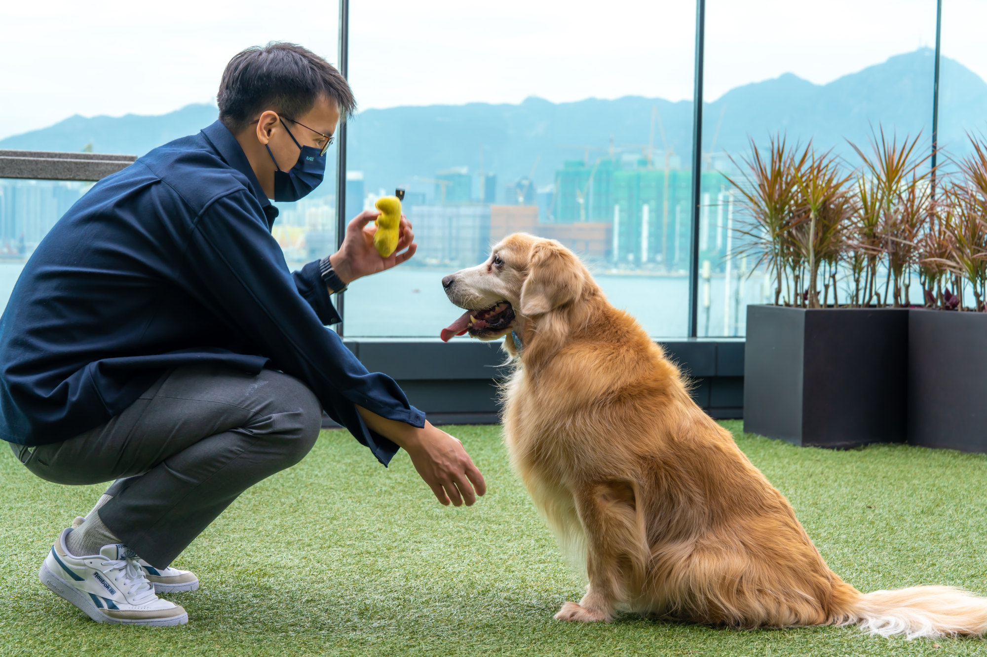 Doggy dim sum cart Hong Kong hotel rolls out canine catering red
