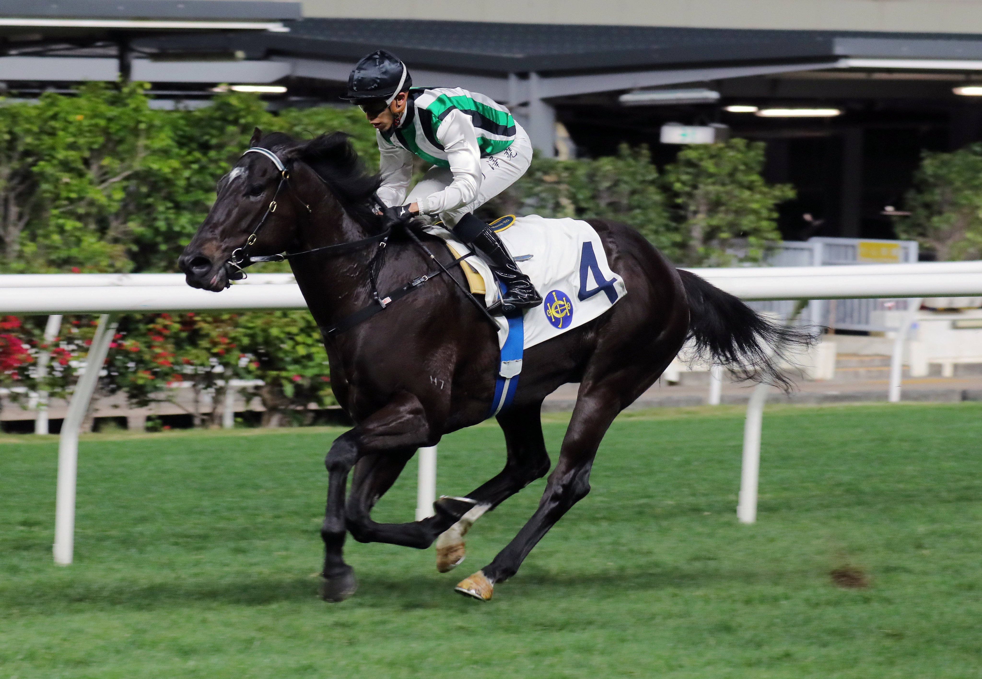 Allgreektome impressively sheds his maiden tag under Vincent Ho at Happy Valley on February 22. Photo: Kenneth Chan