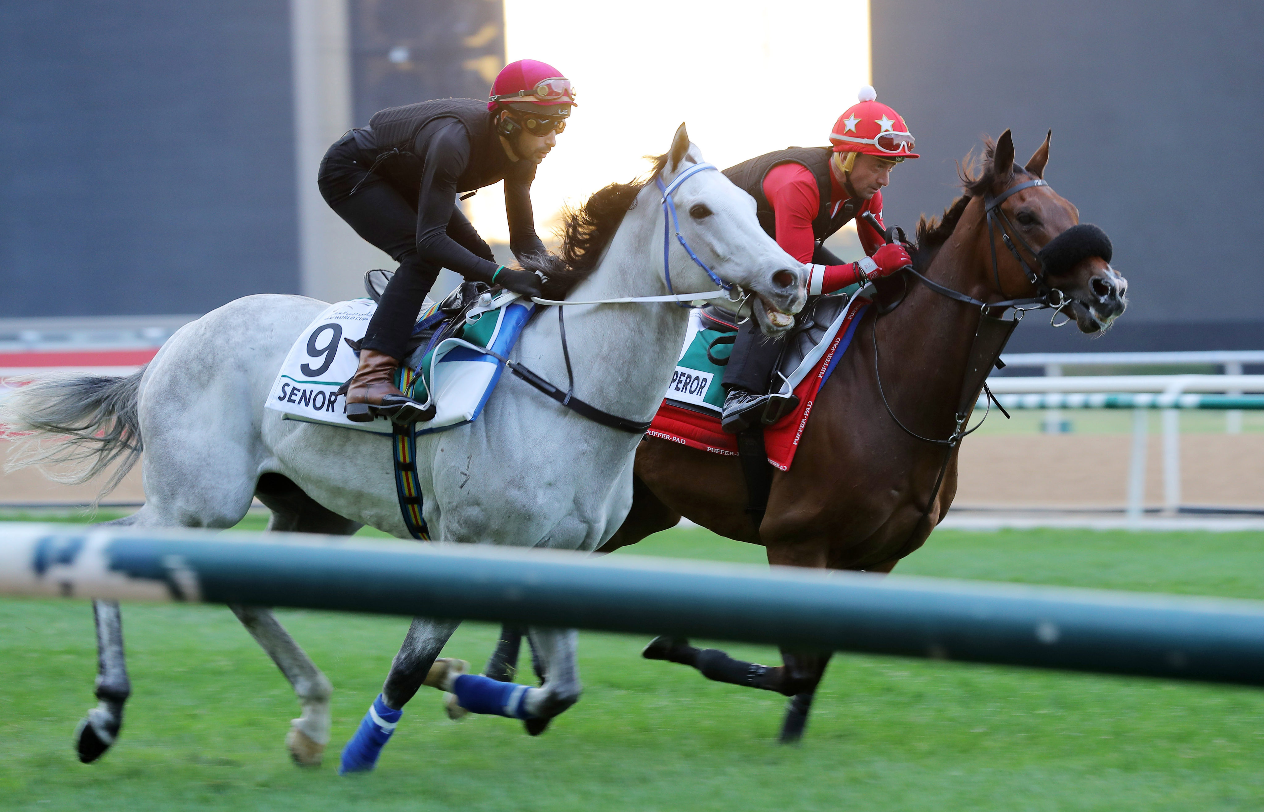 Senor Toba and Alberto Sanna (outside) gallop alongside Russian Emperor and Douglas Whyte at Meydan on Tuesday morning. Photos: Kenneth Chan