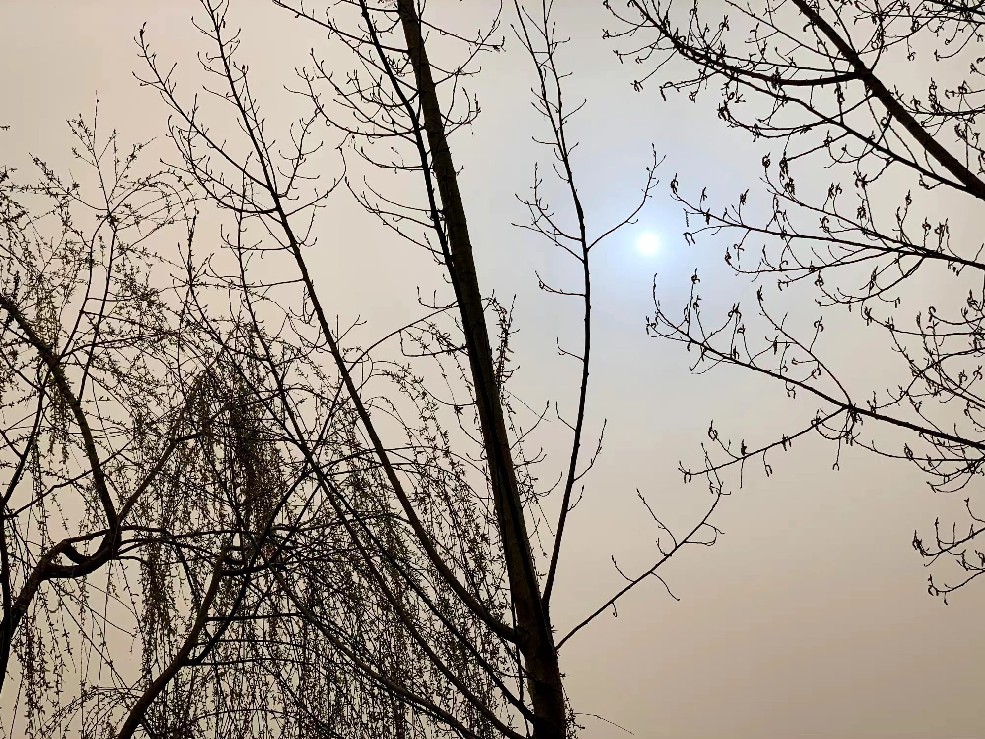 A rare phenomenon caused by the interaction of dust particles and light caused the sun to appear blue over China’s capital Beijing on Wednesday. Photo: Weibo