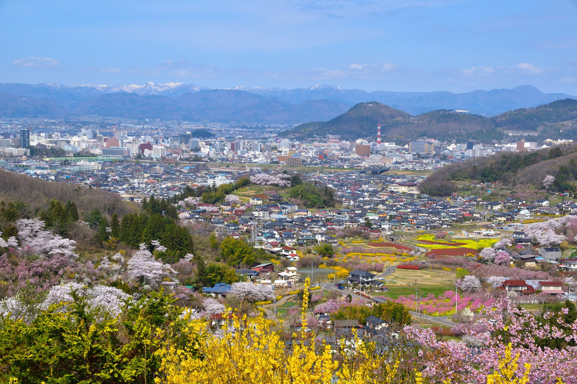 Fukushima: coming back stronger | South China Morning Post 