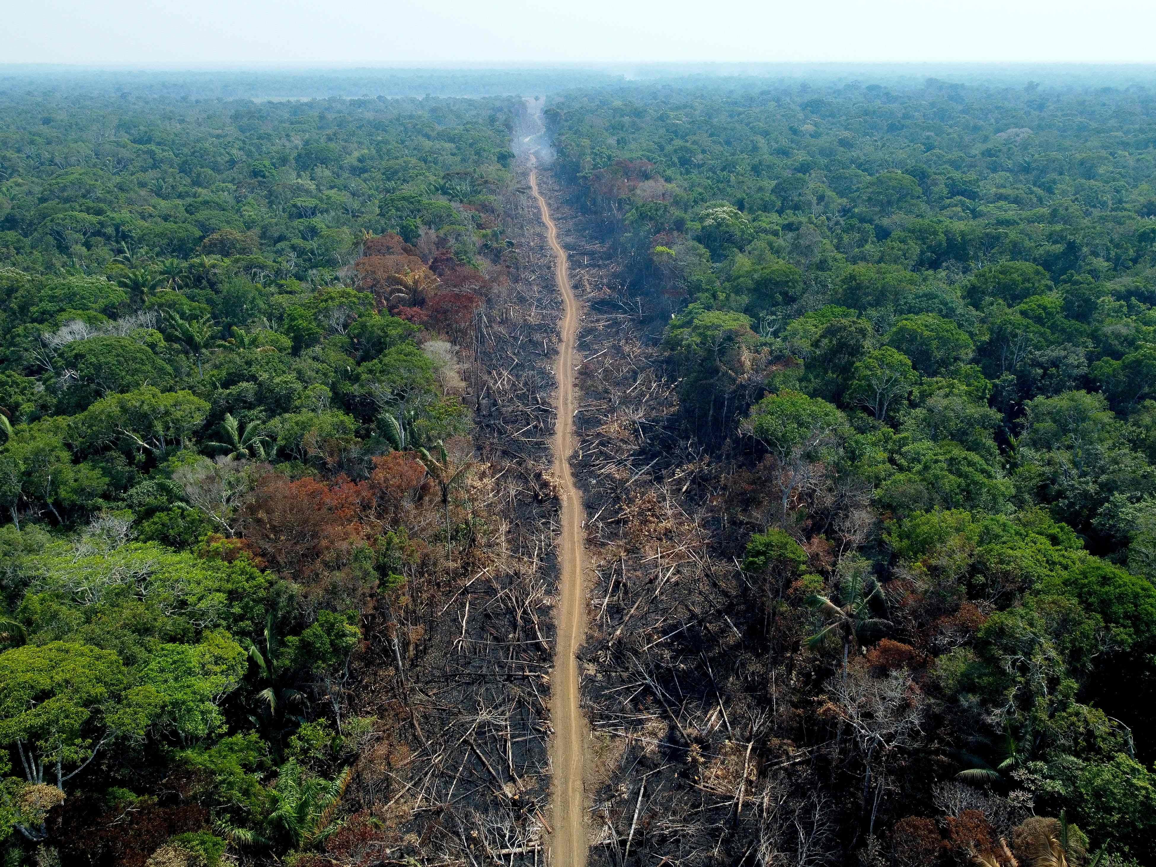 An aerial view of a burnt and destroyed area of forest along the Transamazonian highway in Humaitá, Amazonas State, Brazil, on September 16, 2022. Photo: AFP