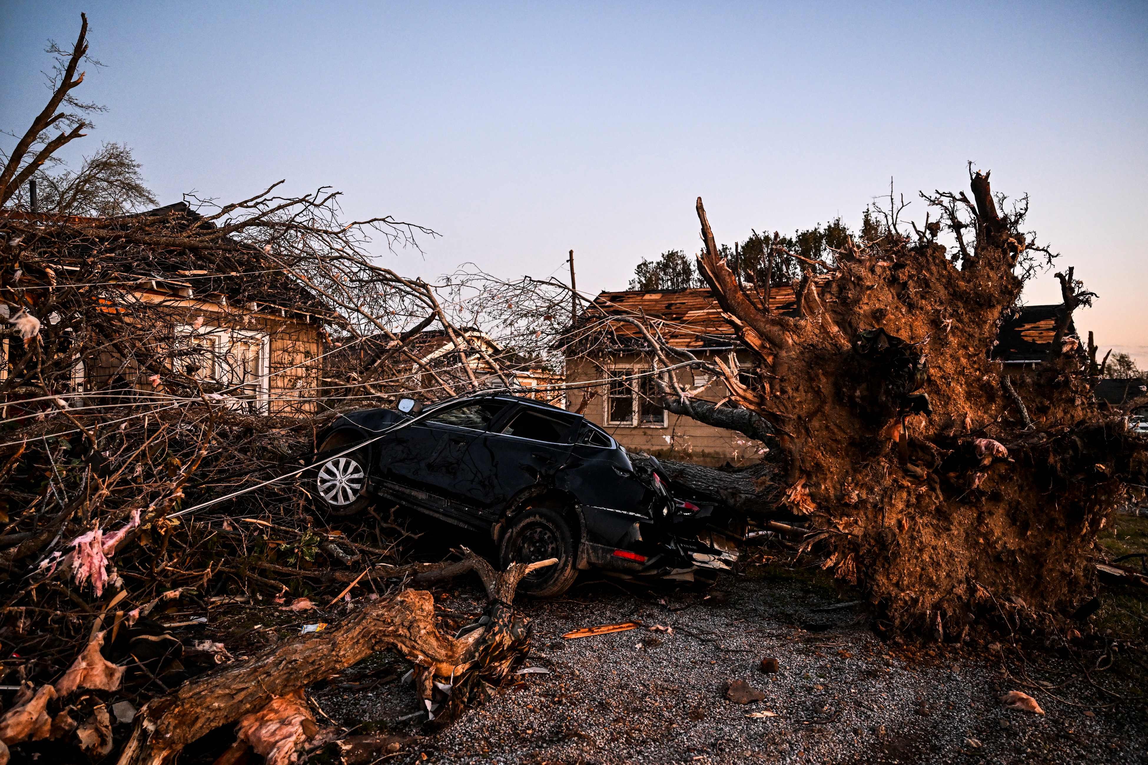 The remains of a house and cars are entangled in tree limbs in the US state of Mississippi, after a tornado touched down in the area. Photo: AFP