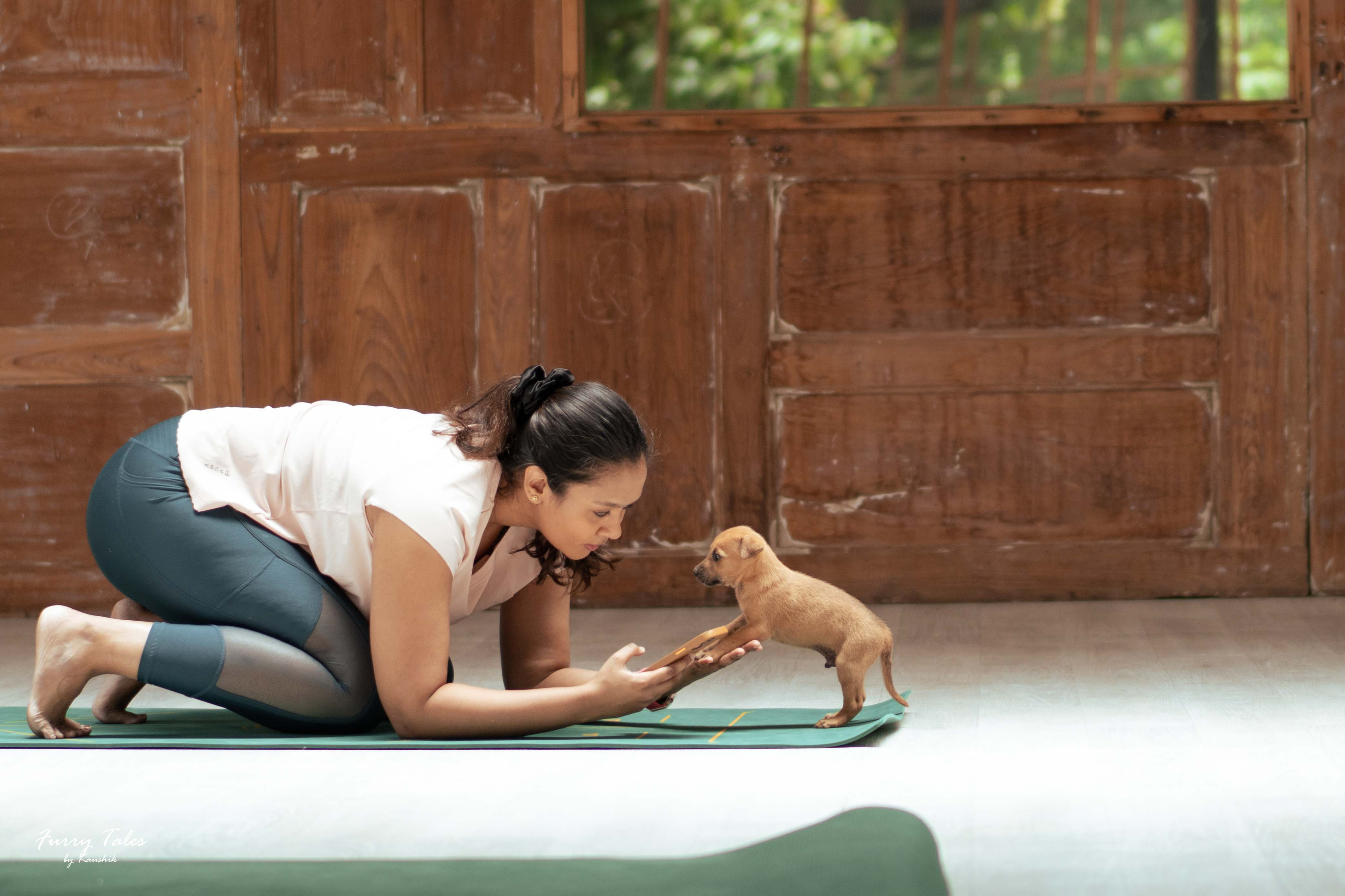 An India-based initiative teaches beginners’ yoga to people as dogs and cats from shelters roam about the class. Its founders call it “pawga”, and say it is a “one-of-a-kind wellness experience”. Photo: Pawga – Pet Yoga India