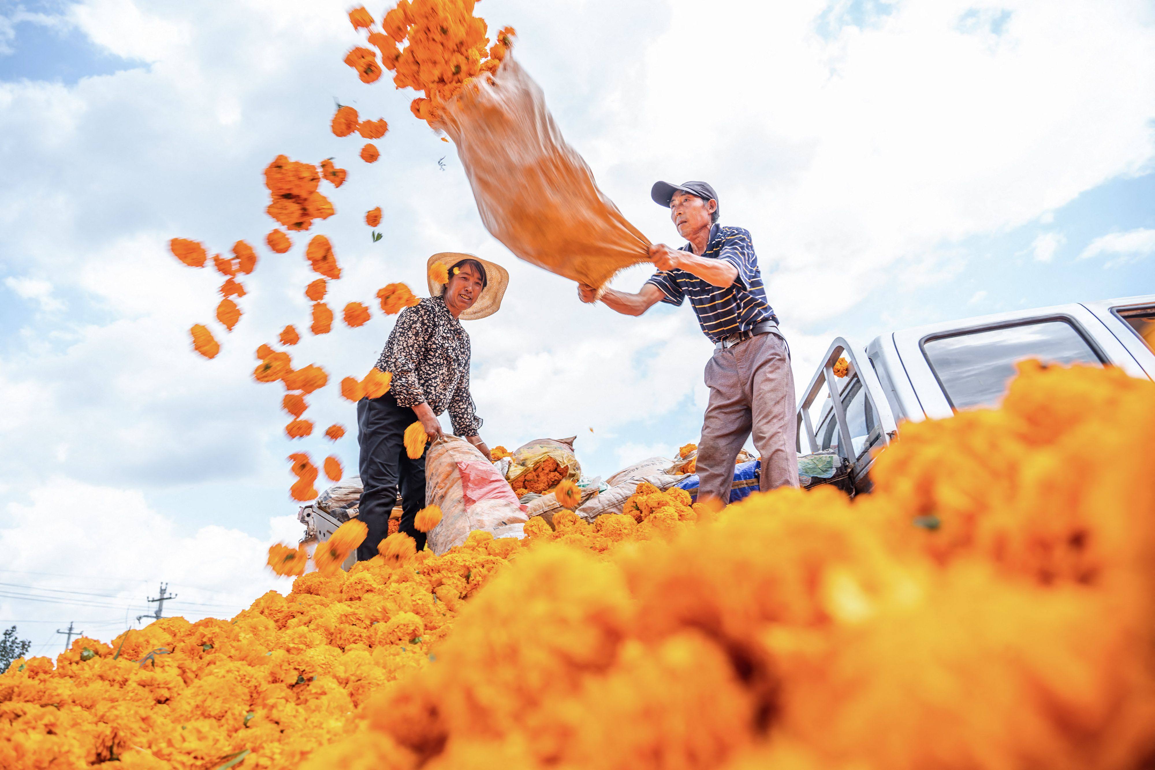 China’s agricultural trade with Asean reached US$61 billion last year. Photo: AFP