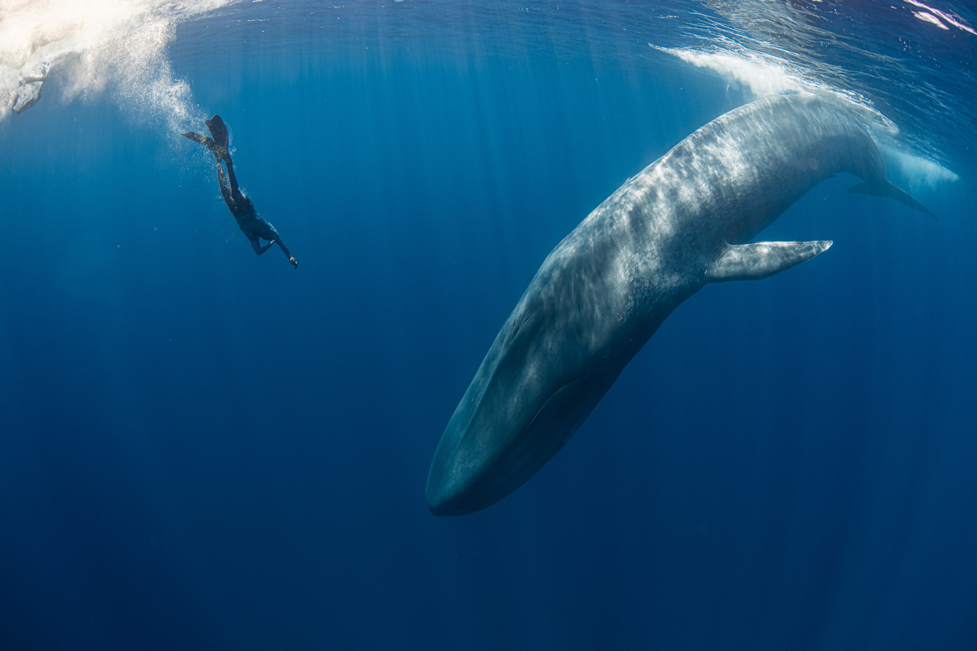 A photo taken by Lorenz in Sri Lanka in 2020. Photo: Simon Lorenz