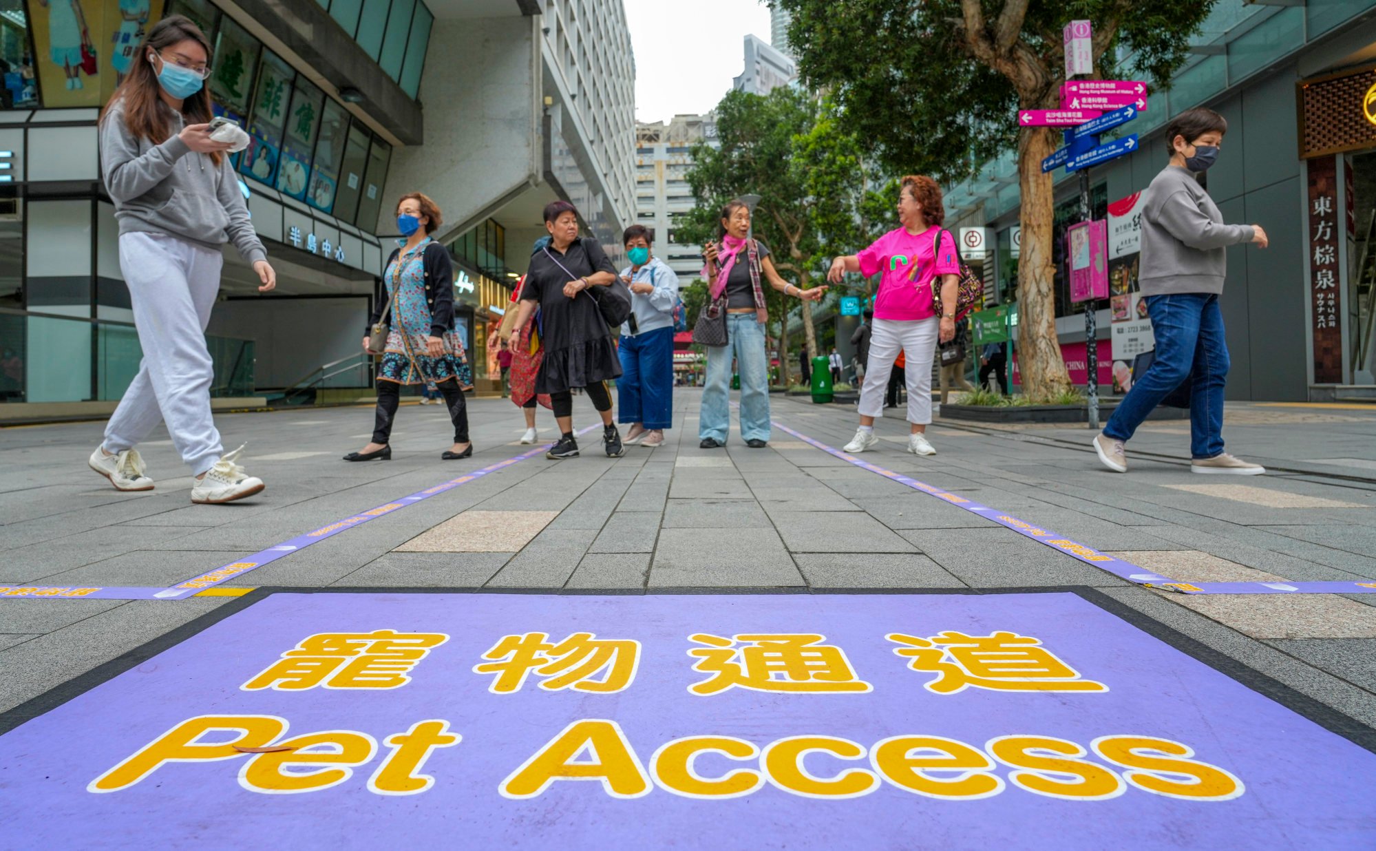 Narrow 200m pet access in city park unleashes debate on space for dogs