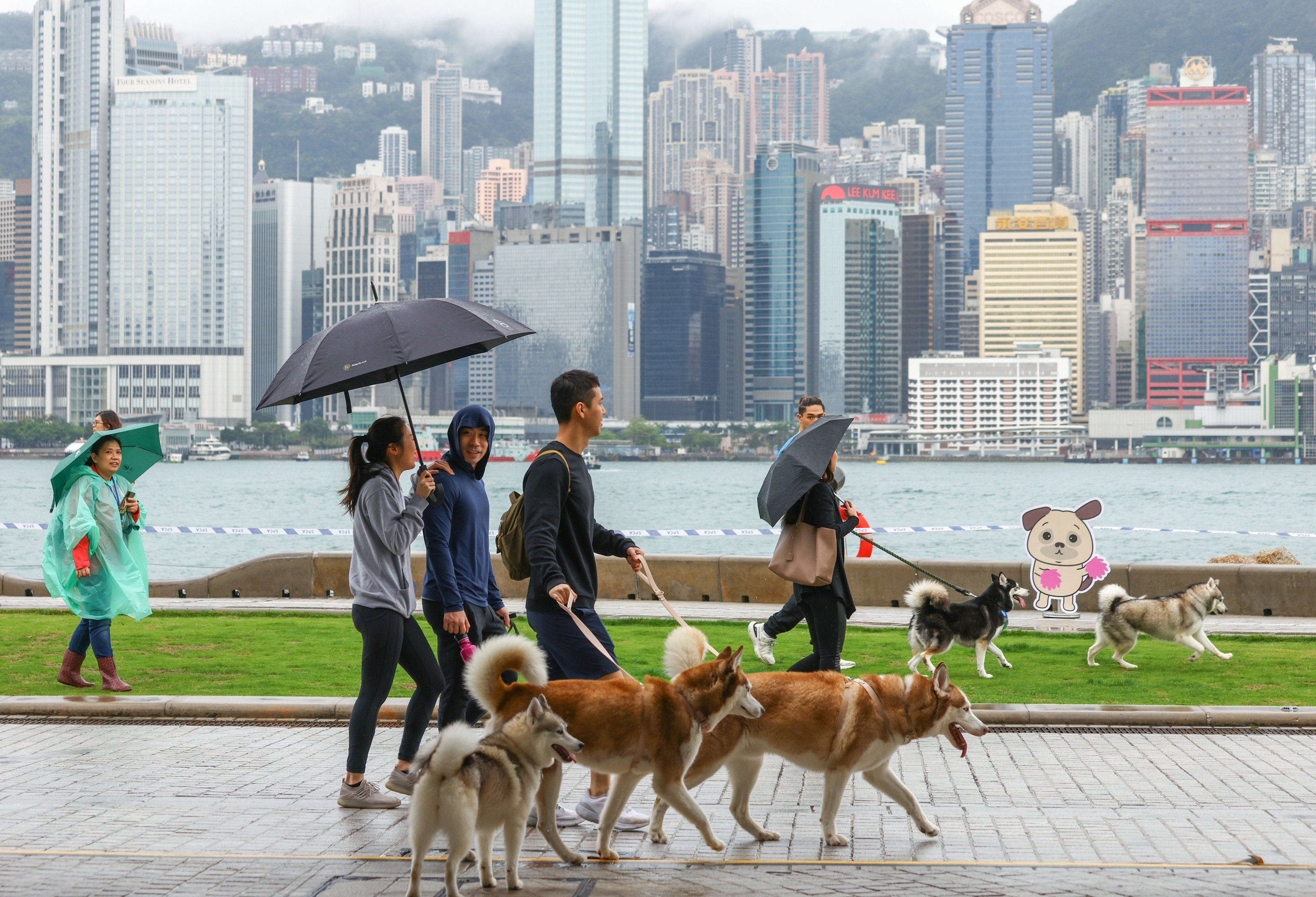 Dog lovers walk their pets in West Kowloon. Hong Kong has 52 pet gardens and 116 inclusive pet parks. Photo: Dickson Lee