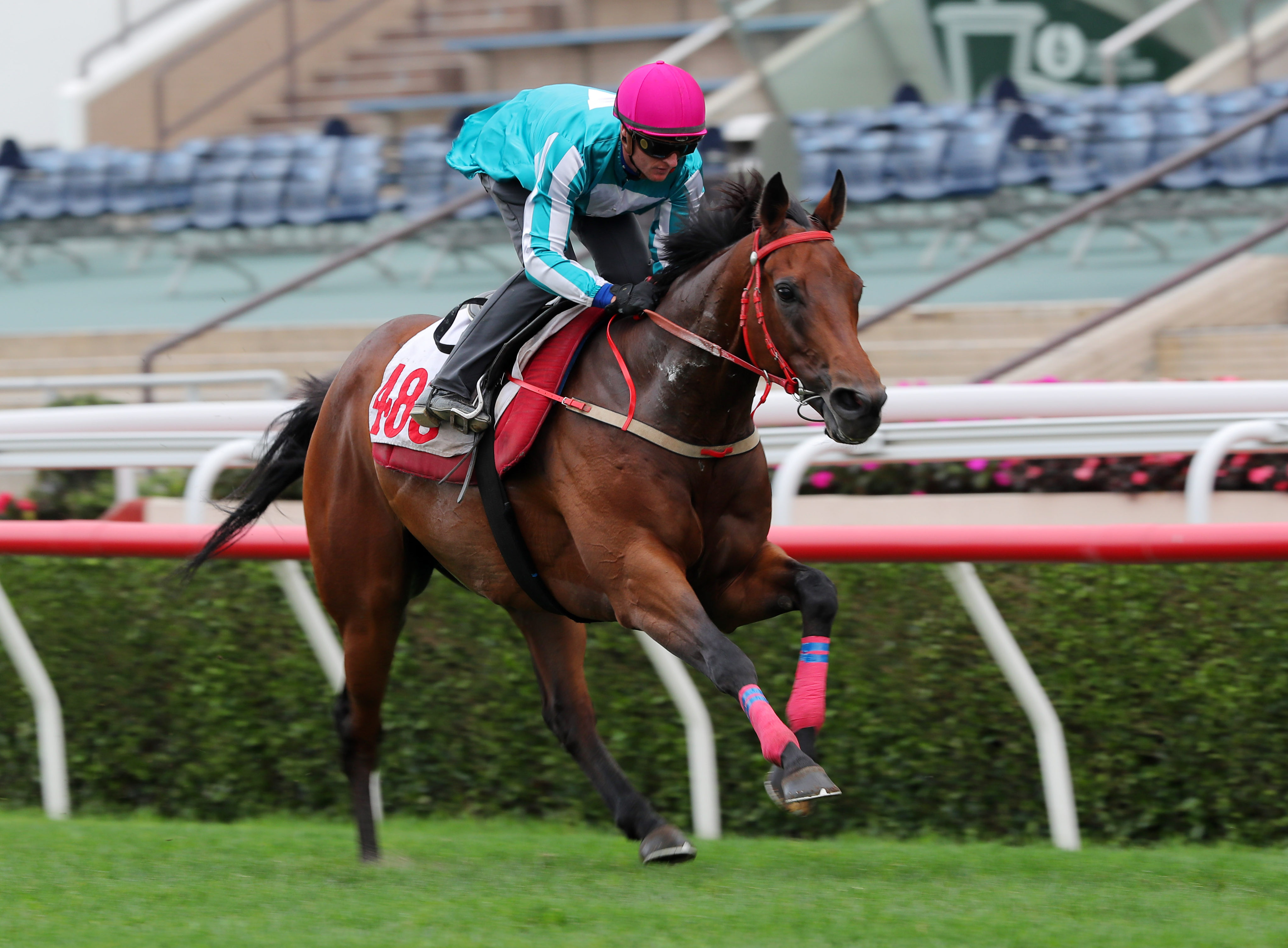 Romantic Warrior effortlessly wins his trial under Zac Purton at Sha Tin on Tuesday morning. Photo: Kenneth Chan