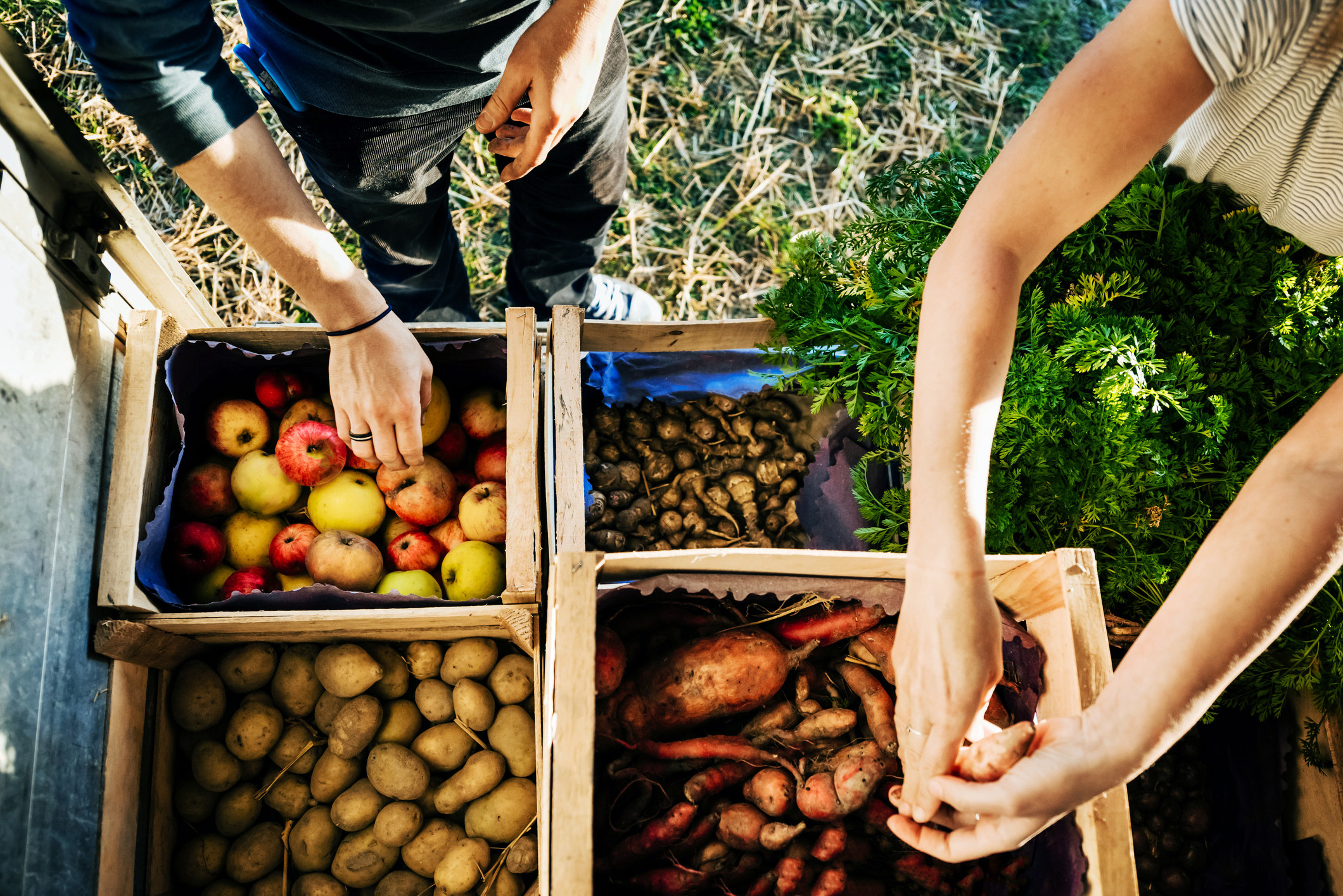 One thing “Sustainable Diets” by Pamela Mason and Tim Lang taught Heidi Yu Spurrell was the importance of buying from smallholders at farmers’ markets and supporting small businesses. Photo: Getty Images
