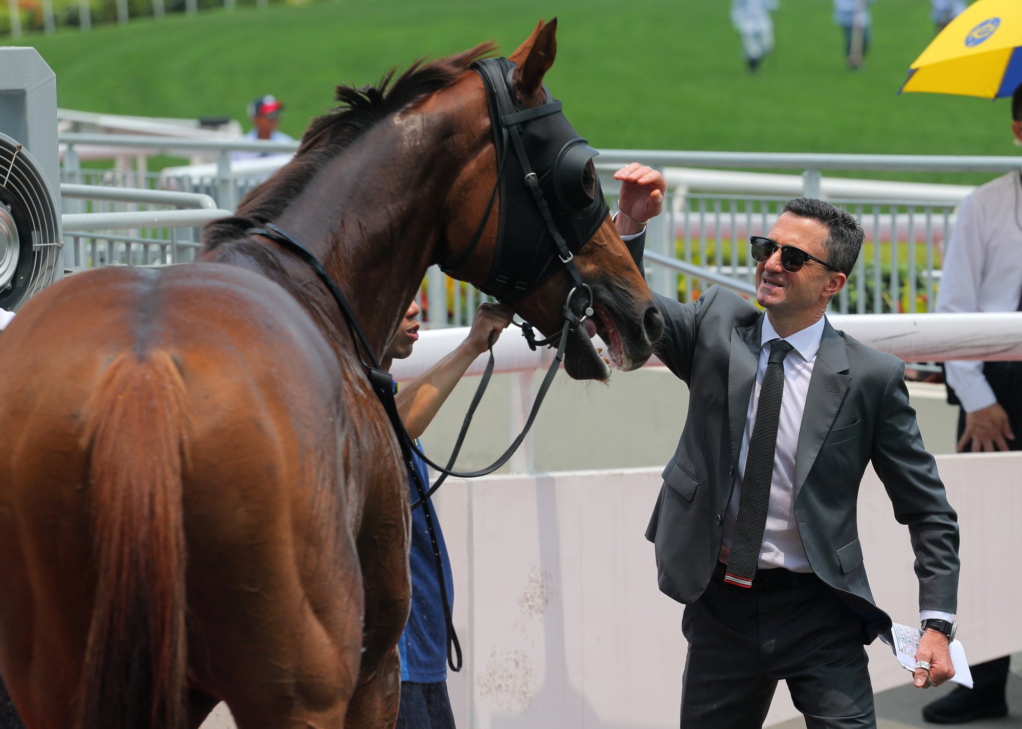 Douglas Whyte congratulates Apex Top at Sha Tin on Saturday.