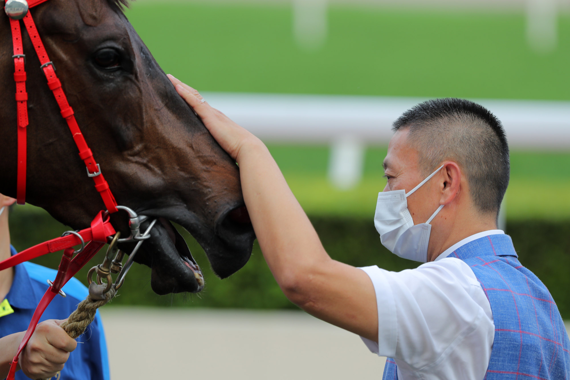 Trainer Danny Shum gives Victor The Winner a pat.
