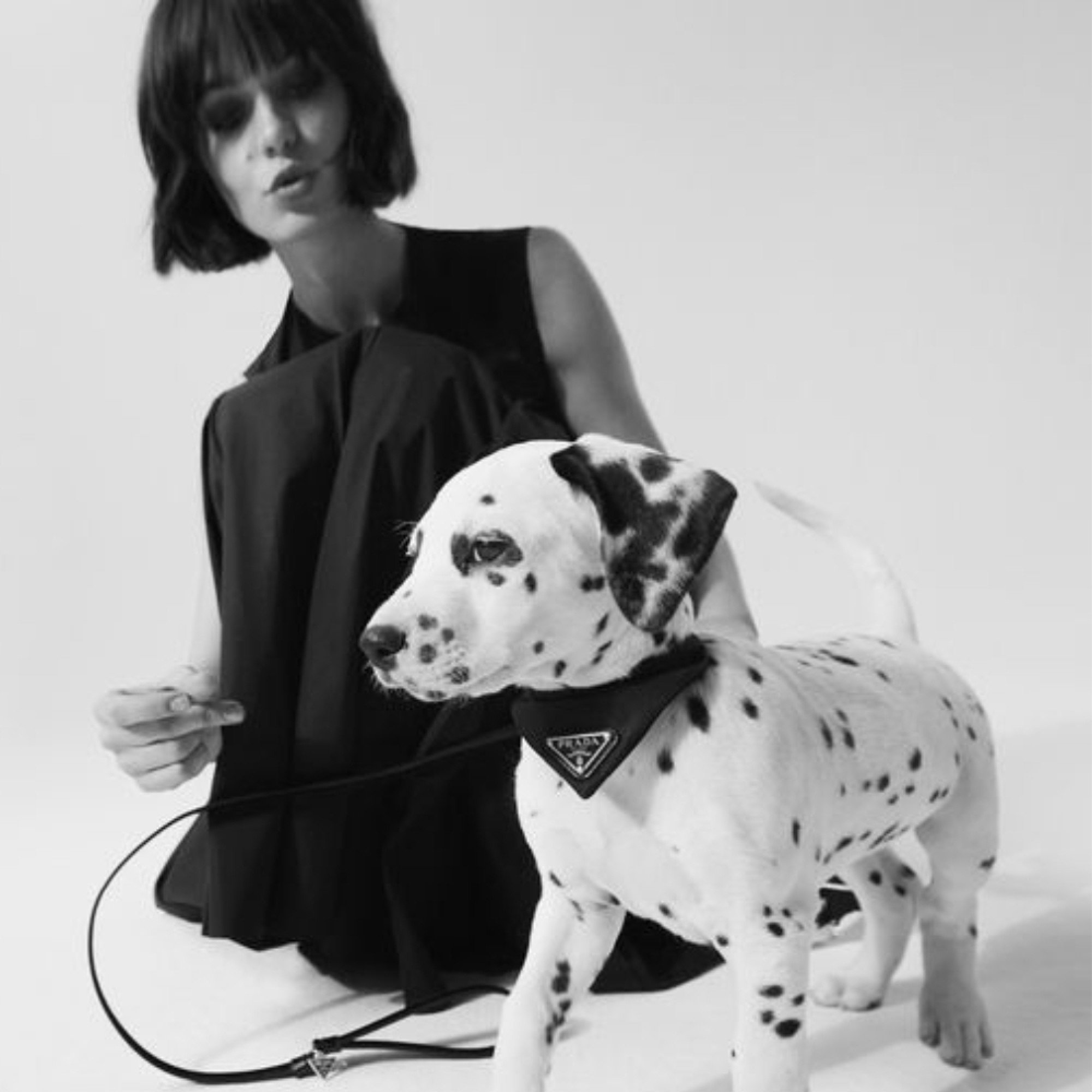 Louis Vuitton dog bag, web-a-porter.co/, Delcho D