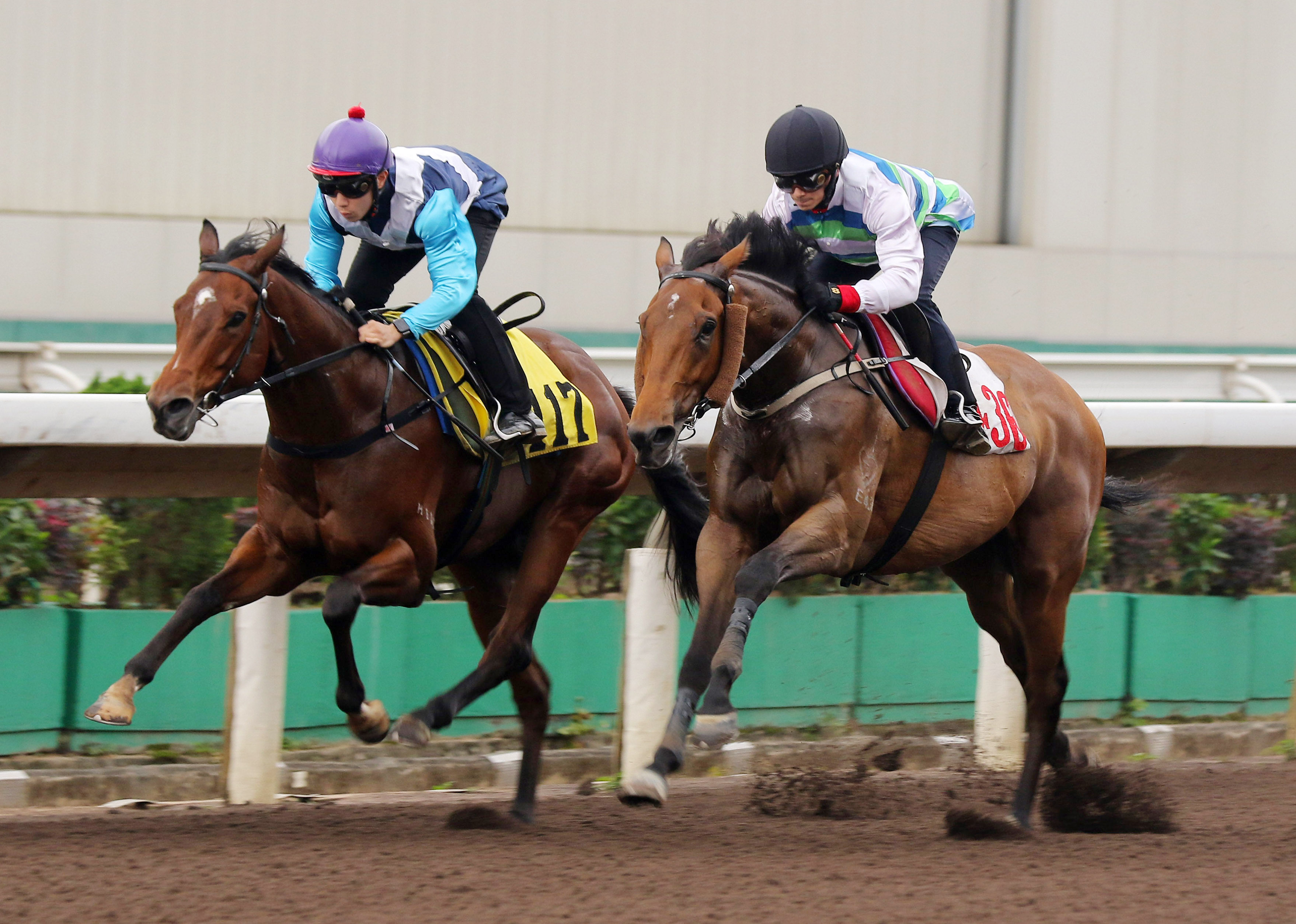 Voyage Bubble (right) edges Drombeg Banner in Tuesday morning’s first trial at Sha Tin. Photo: Kenneth Chan