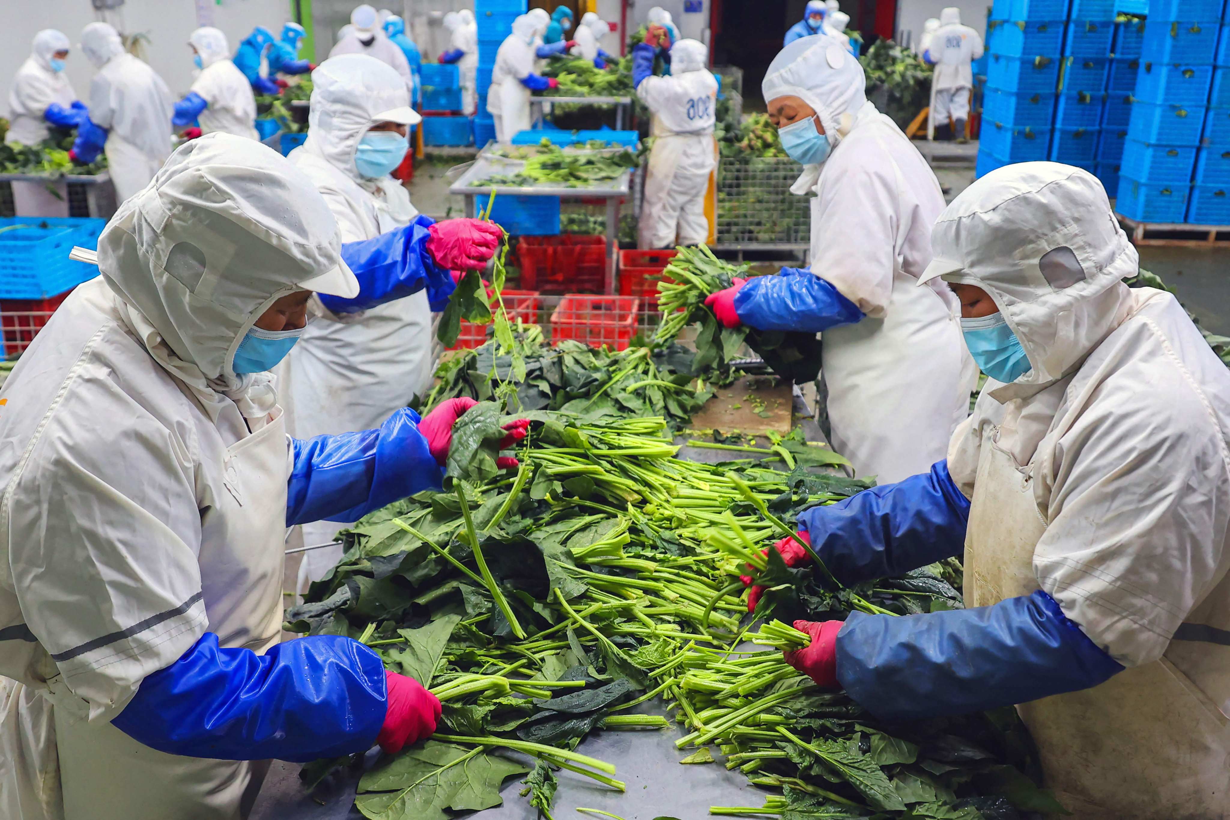 After China’s economy grew by 3 per cent last year, China has set an overall gross domestic product target for 2023 at around 5 per cent. Photo: AFP