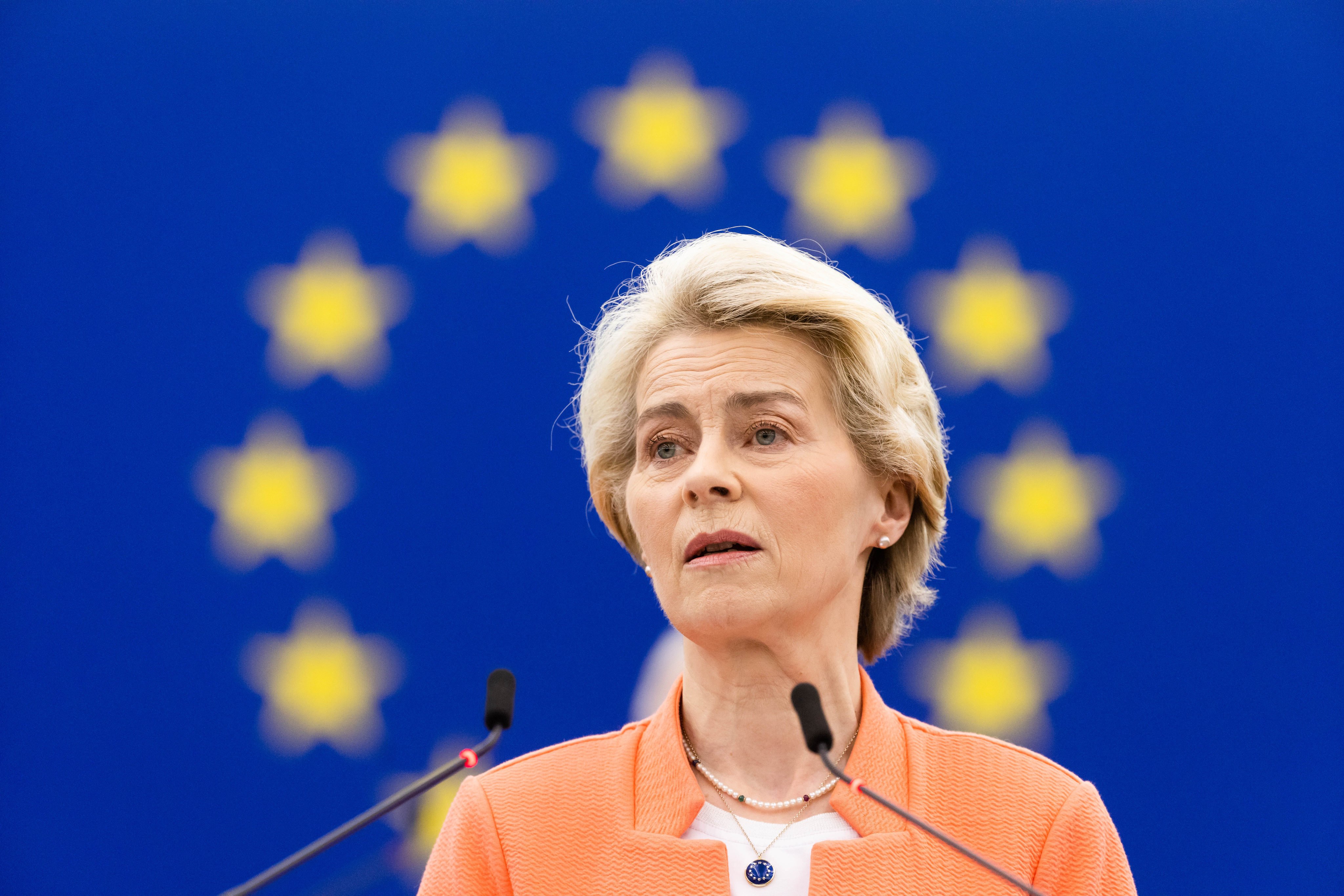 European Commission President Ursula von der Leyen addressing a session of the European Parliament on Tuesday. Photo: dpa