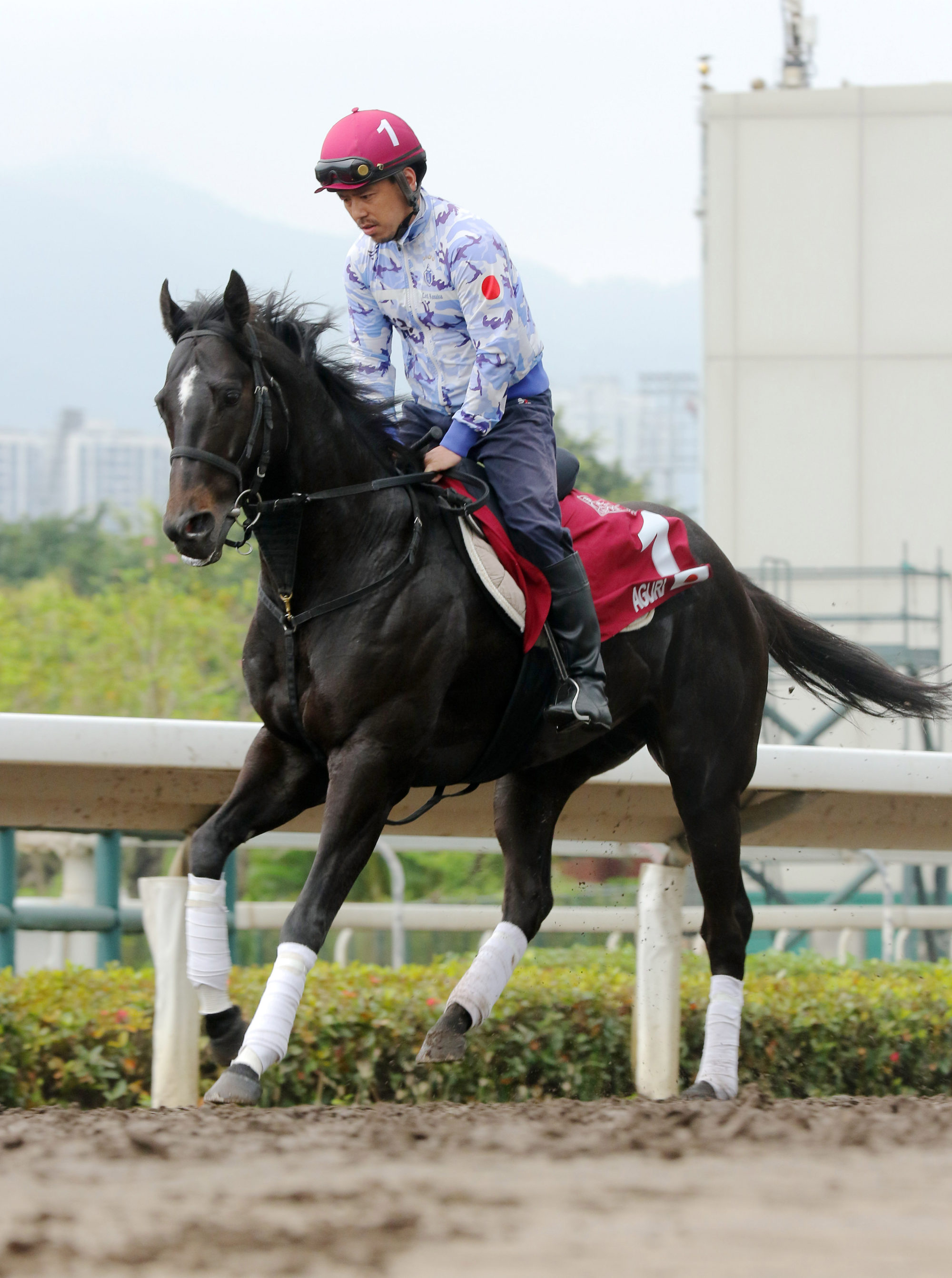 Aguri stretches his legs at Sha Tin.