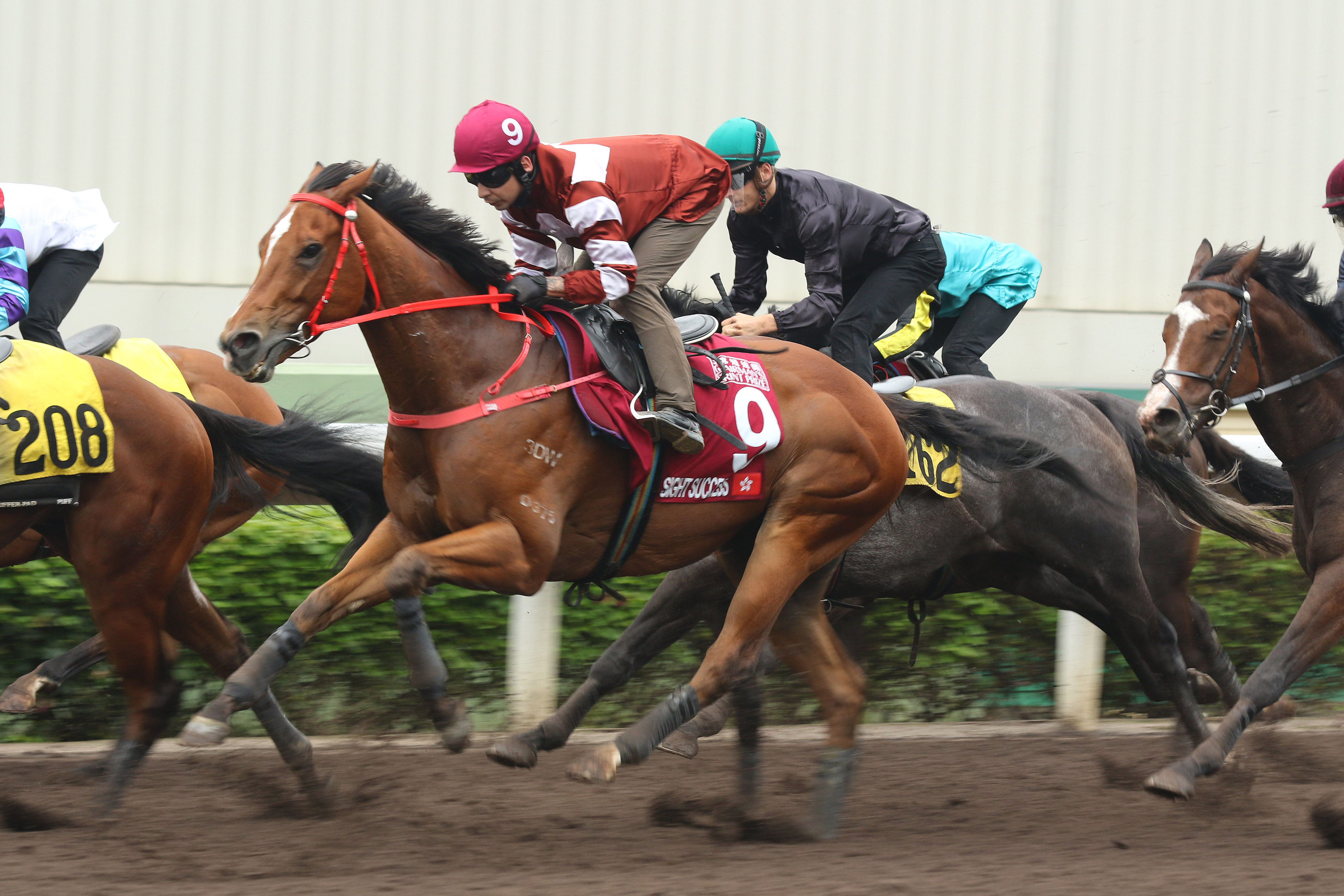 Sight Success trials under Vagner Borges at Sha Tin on Tuesday morning. Photo: Kenneth Chan