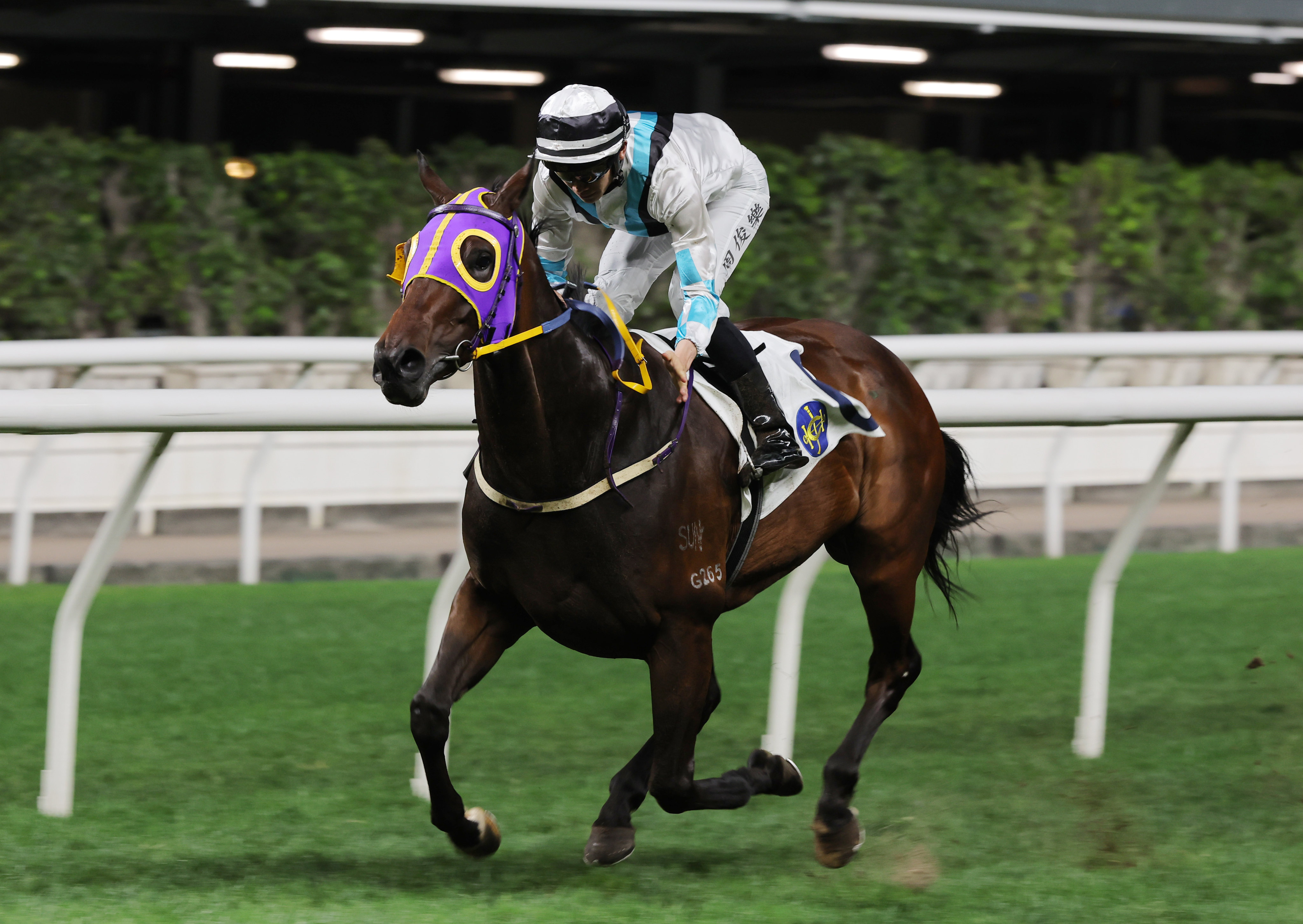 Son Pak Fu wins the Class Three Incheon Handicap (1,200m) under Jerry Chau at Happy Valley on Wednesday night. Photo: Kenneth Chan