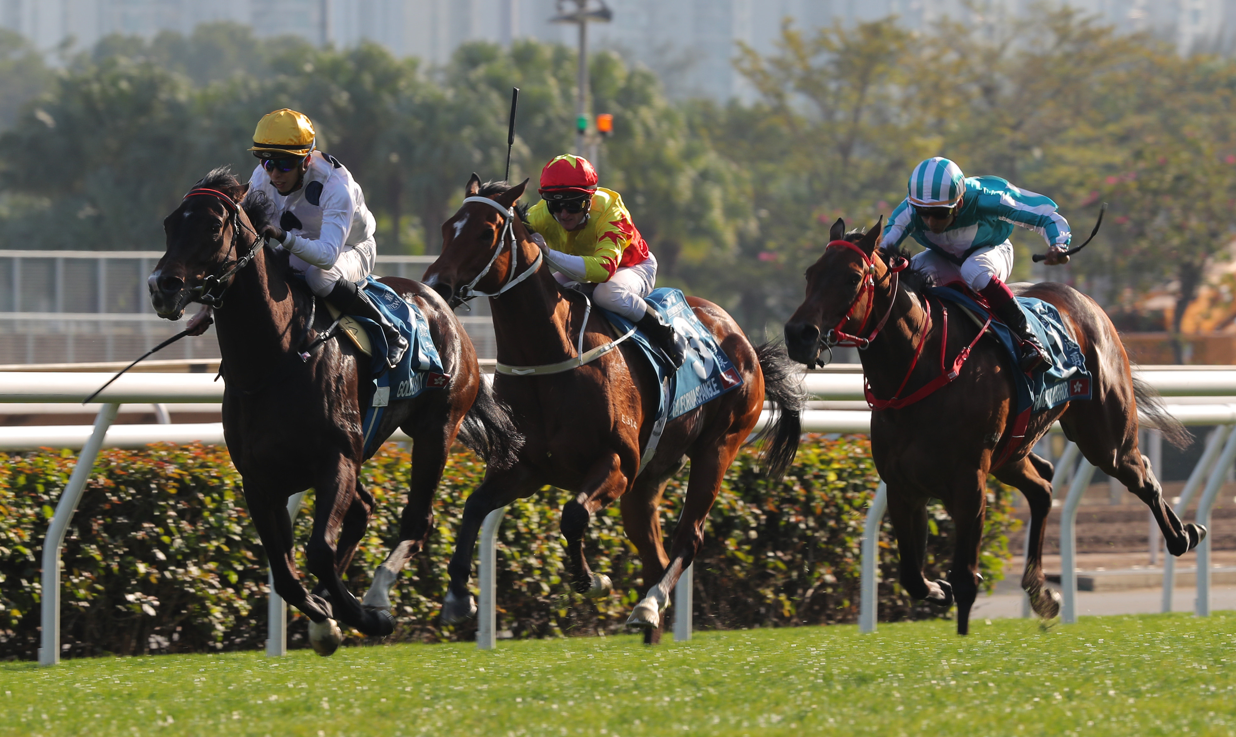 Golden Sixty (left), California Spangle (middle) and Romantic Warrior duke it out earlier this season. Photos: Kenneth Chan