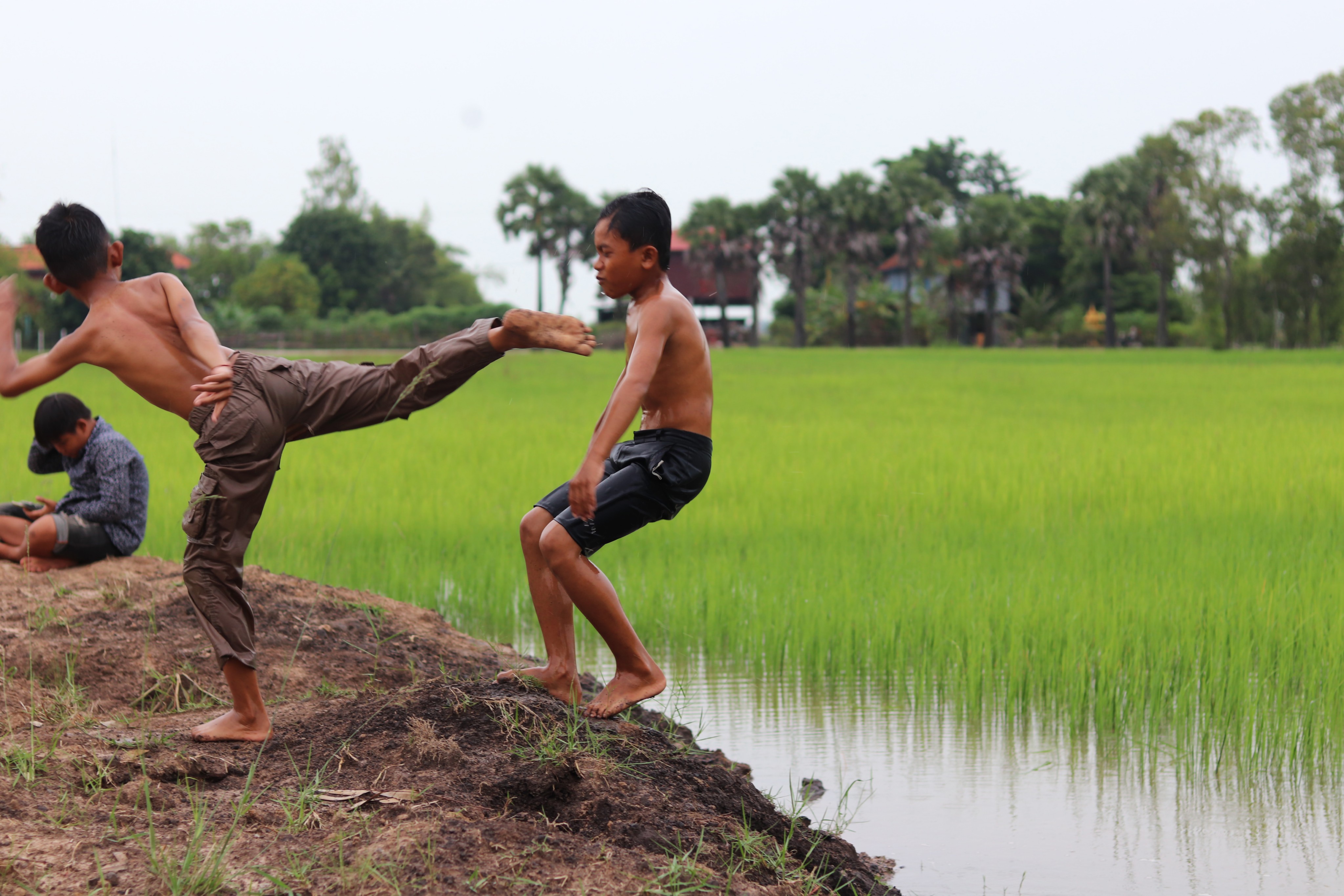 Boys practise kun khmer in Cambodia. Photo: Shutterstock 