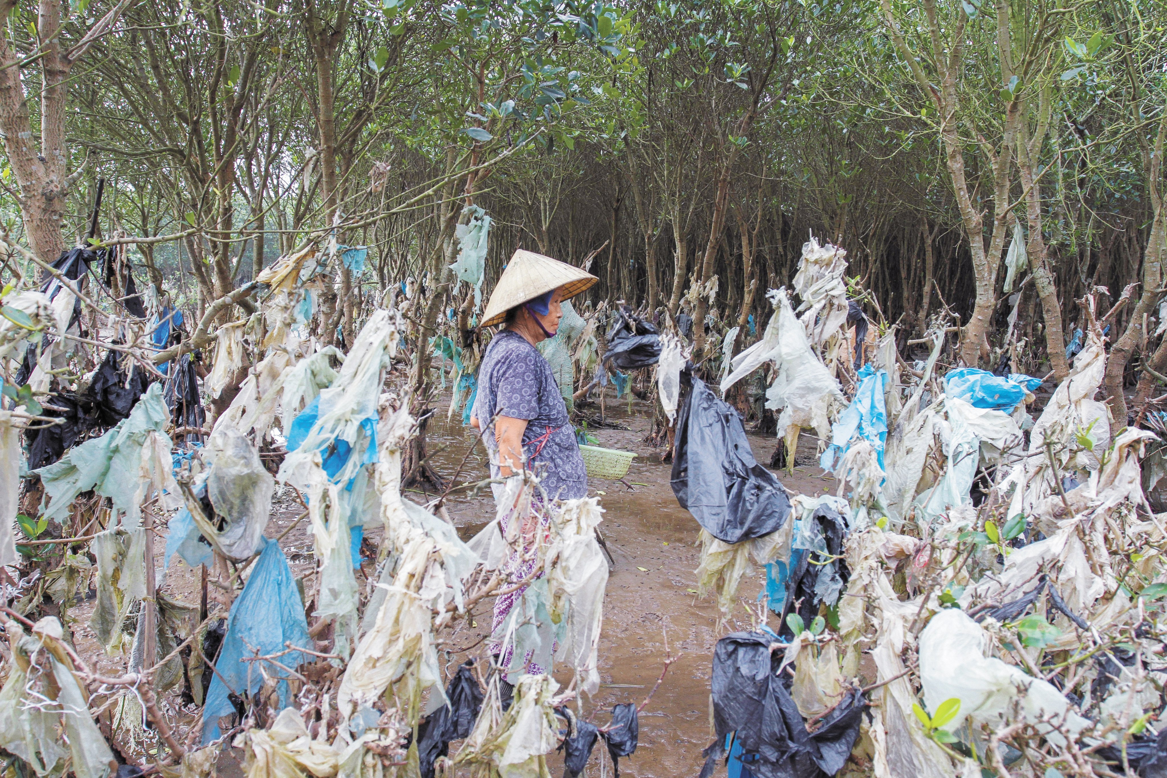 In this picture taken on May 18, 2018, a Vietnamese woman gathers shells in a coastal forest littered with plastic waste stuck in branches after it was washed up by rising coastal tide in Thanh Hoa province, around 150 kilometres south of Hanoi. (Photo by Nhac NGUYEN / AFP)
