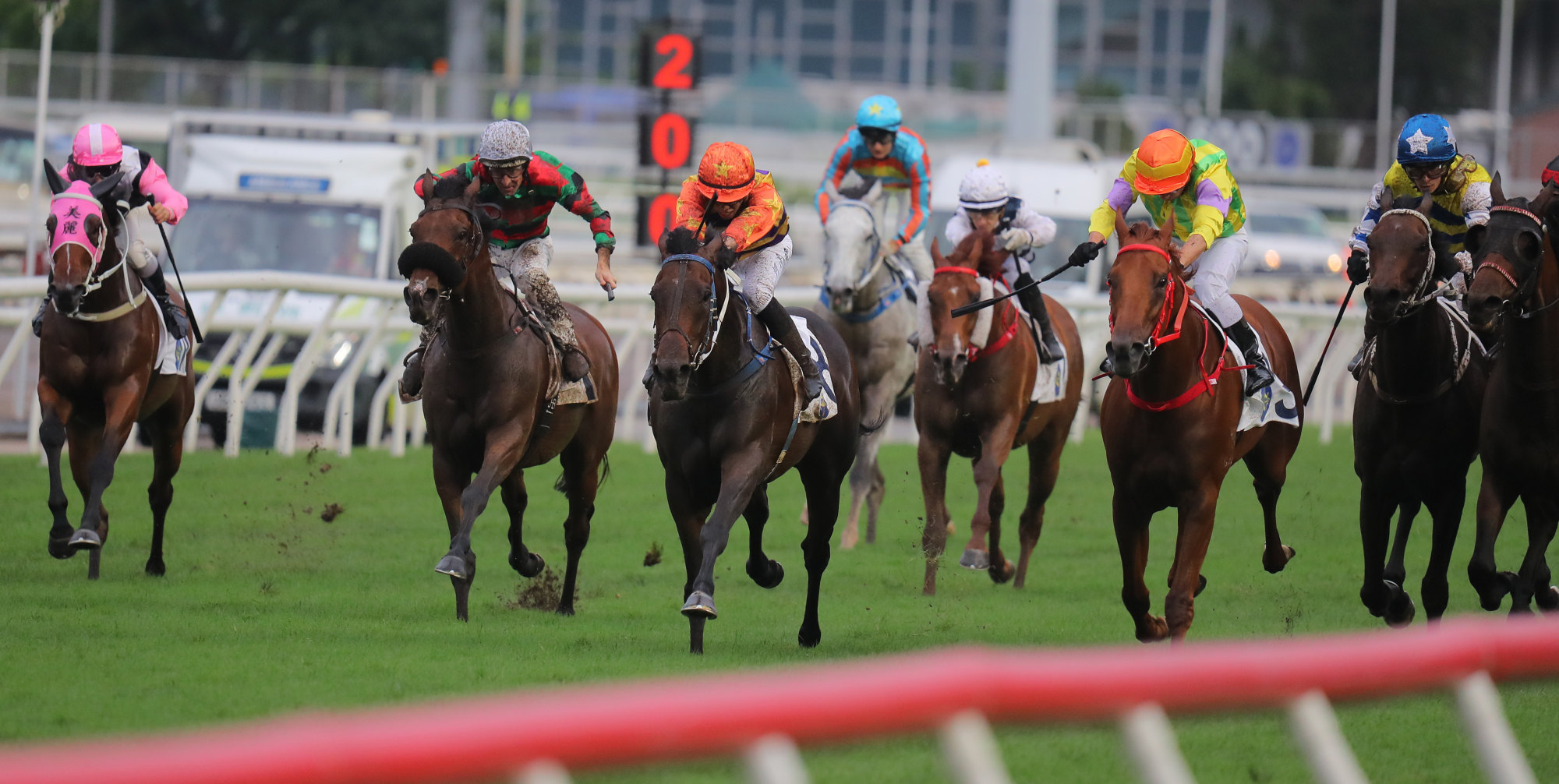 Straight Arron (centre) works his way down the middle of the track to win the Queen Mother Memorial Cup.