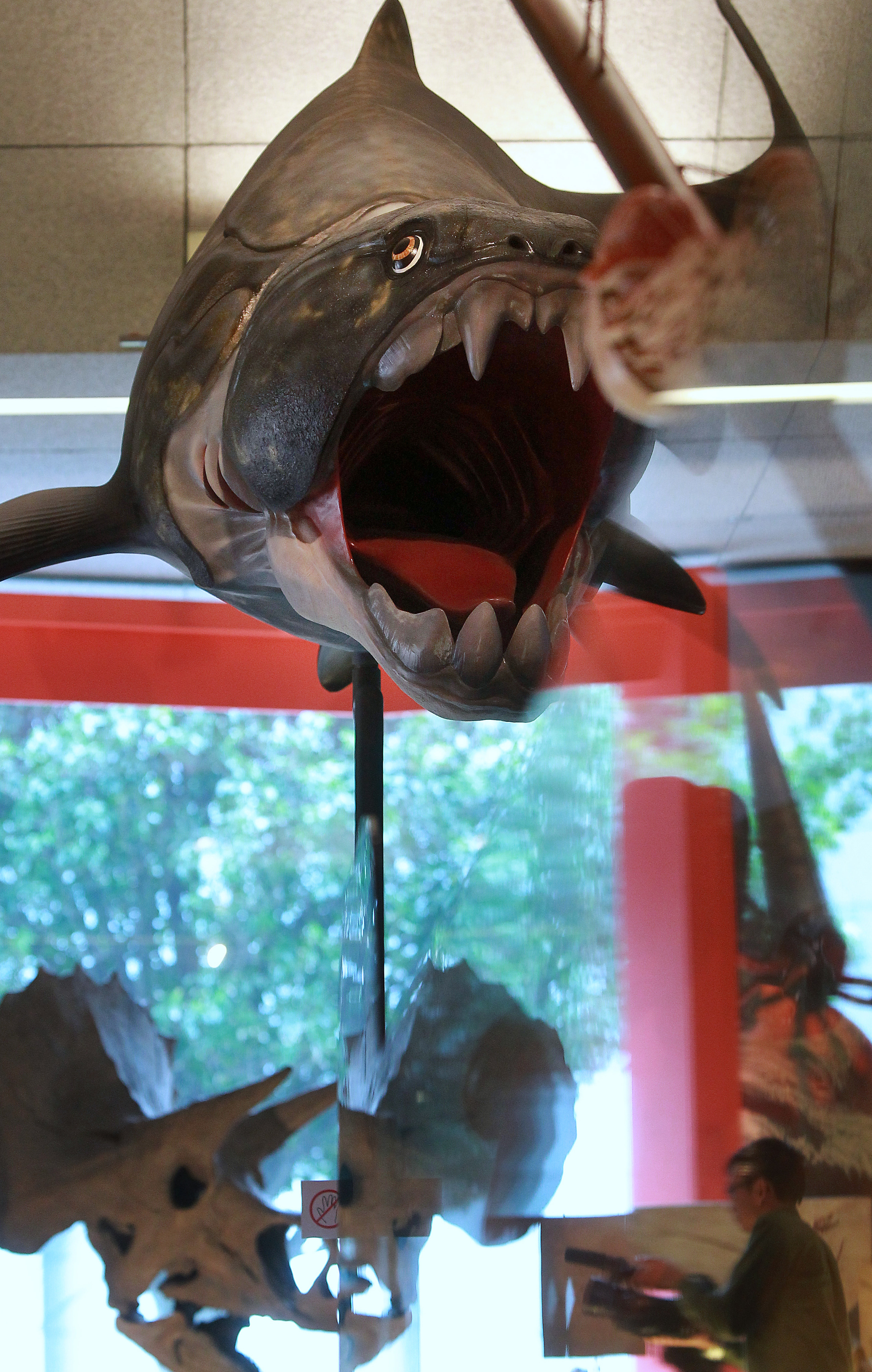 A model of Dunkleosteus from the Devonian era is displayed in the Prehistoric Story Room at the Bank of China Tower in Central in 2011. Photo: SCMP
