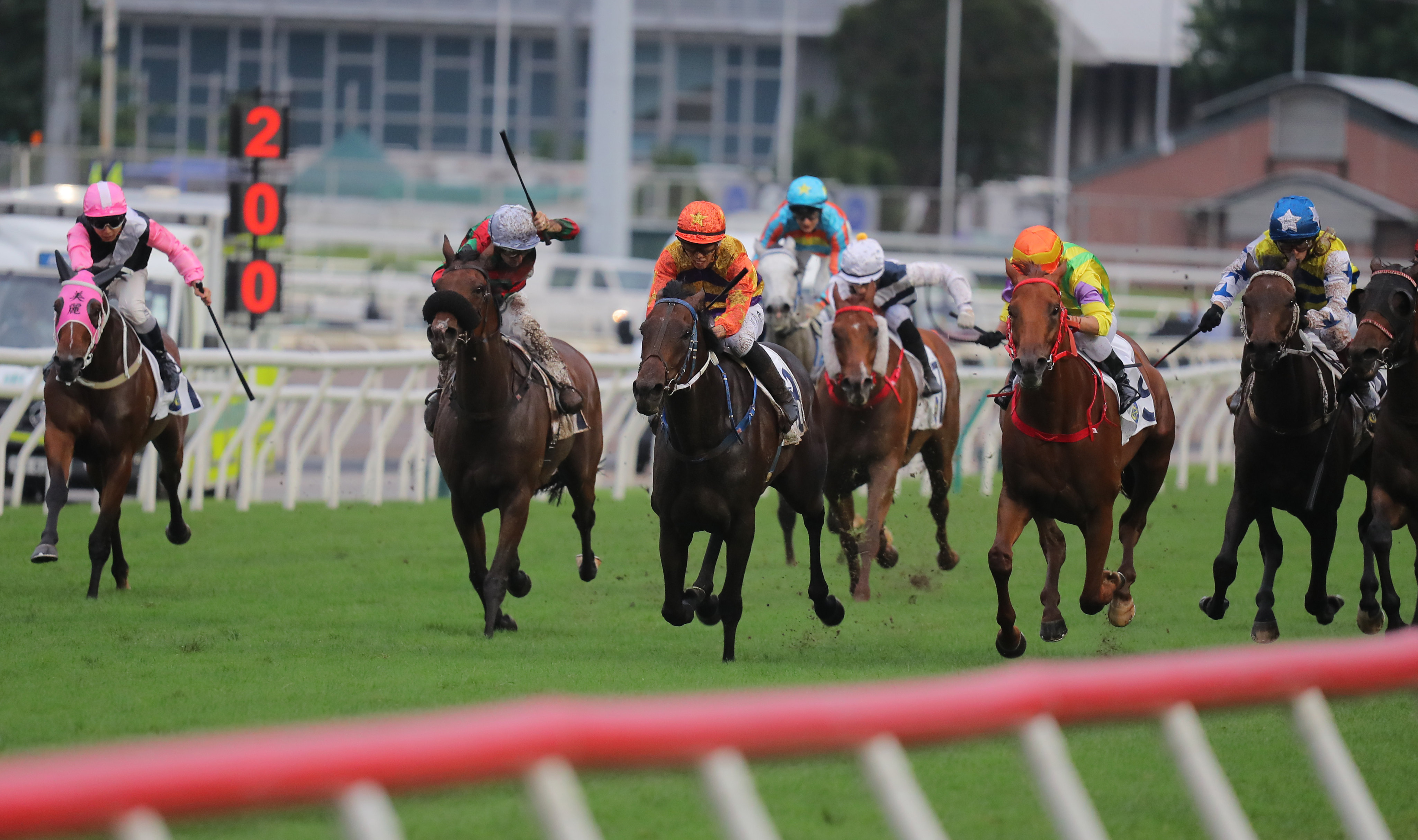 Russian Emperor (left) finishes sixth behind Straight Arron (middle) at Sha Tin on Sunday. Photo: Kenneth Chan