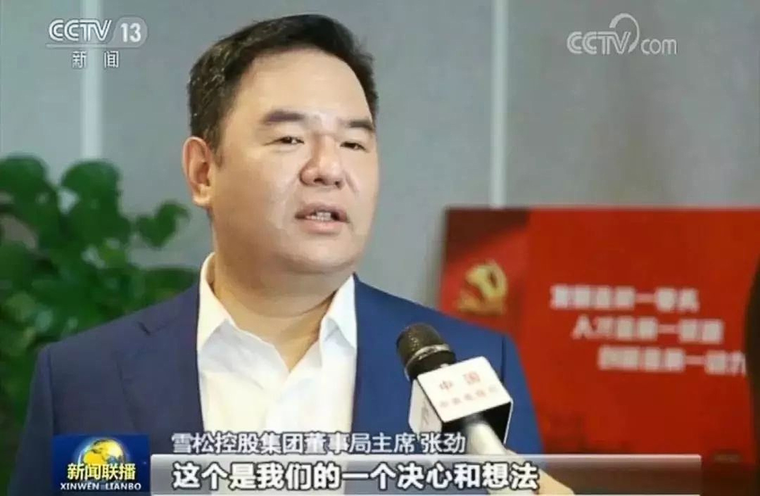 Chinese tycoon Zhang Jin has been detained by police for illegal fundraising. Photo: CCTV