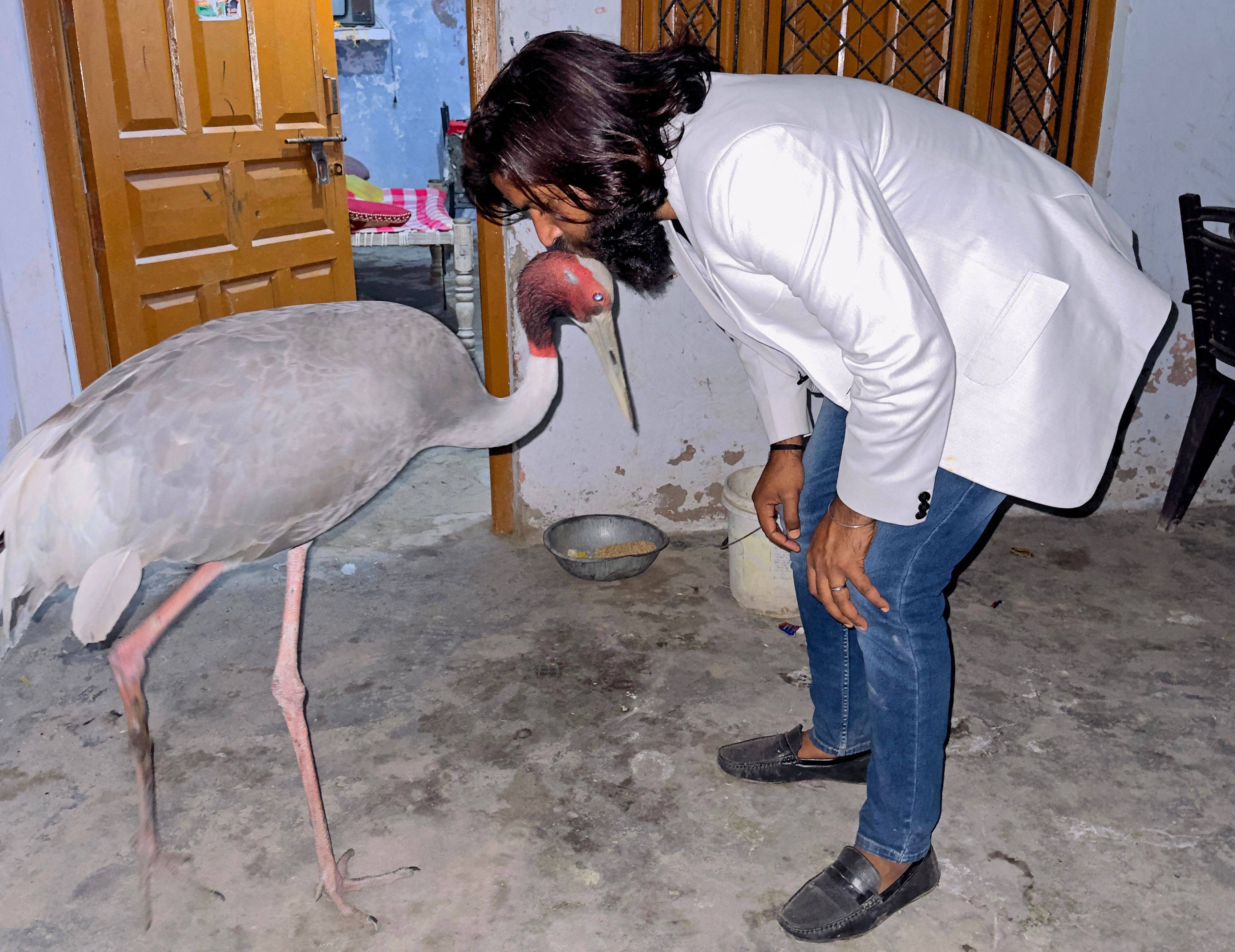 Mohammad Arif’s friendship with the  large bird has made him a social media star. Photo: AFP/Courtesy of Mohammad Arif