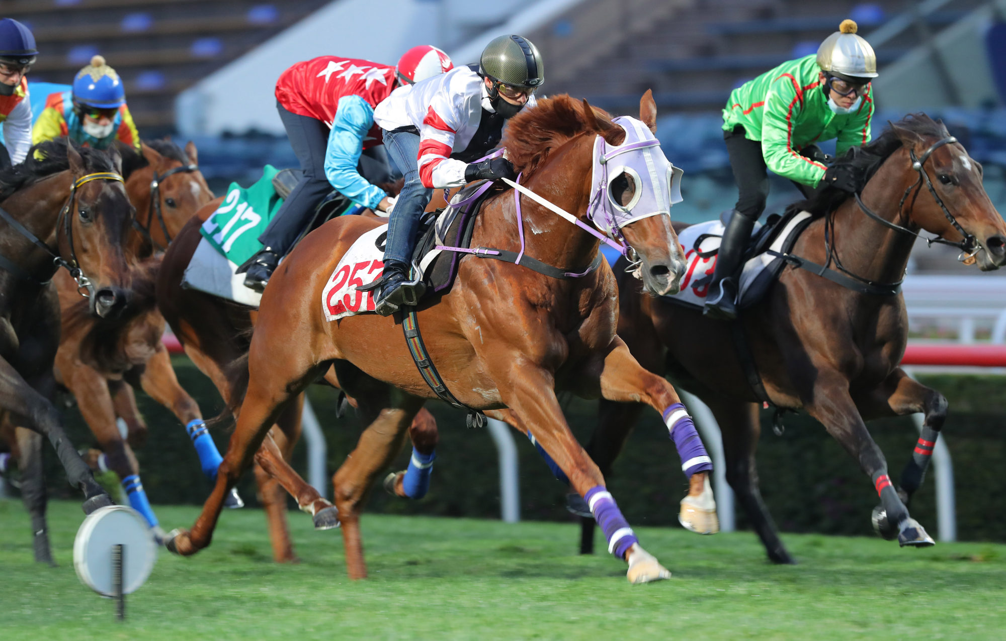 Alexis Badel (white colours) trials Pierre Ng-trained galloper War Weapon at Sha Tin on February 25.