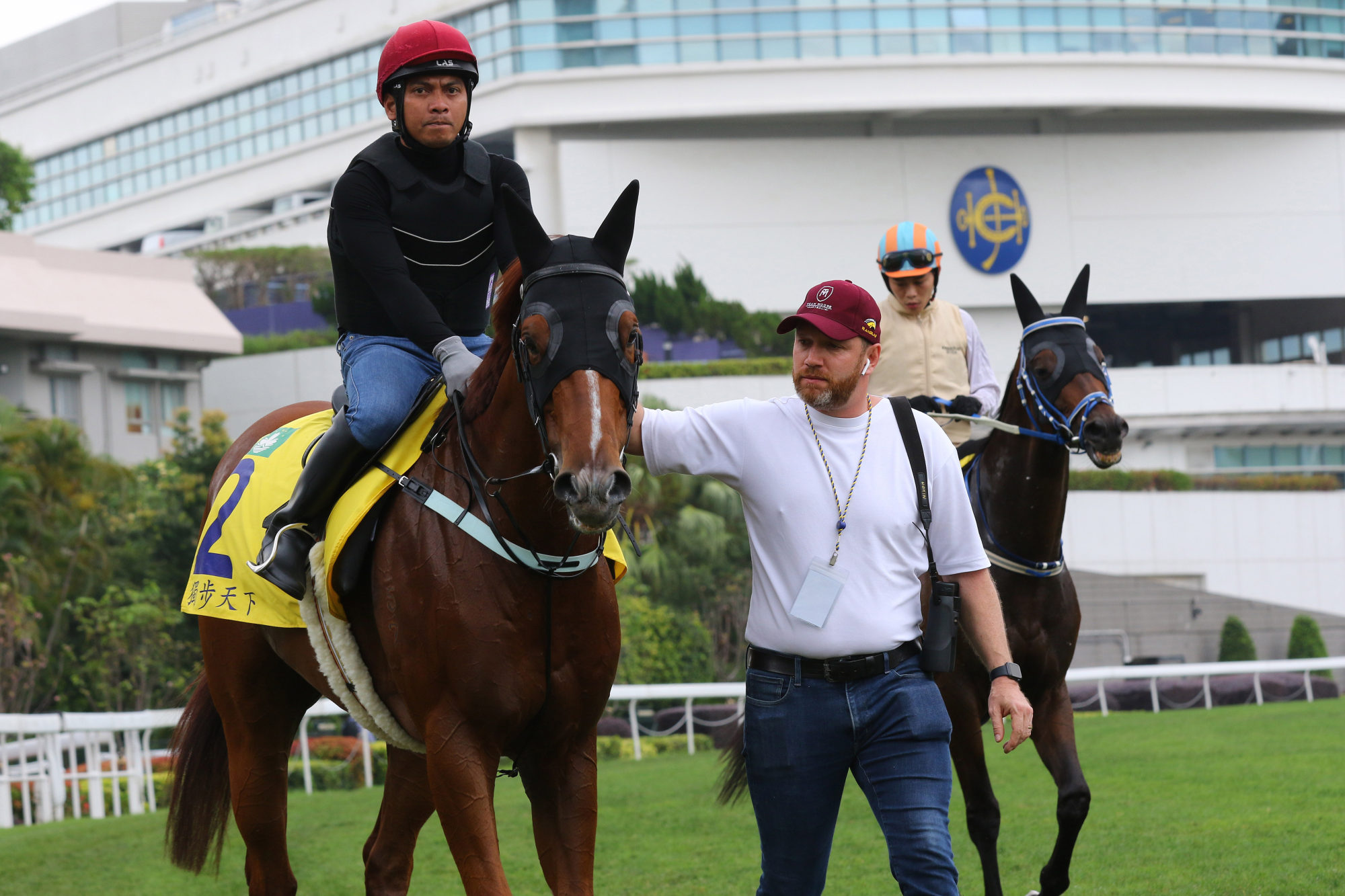Trainer Nicholas Moore leads Out To Win at Sha Tin on Thursday morning.