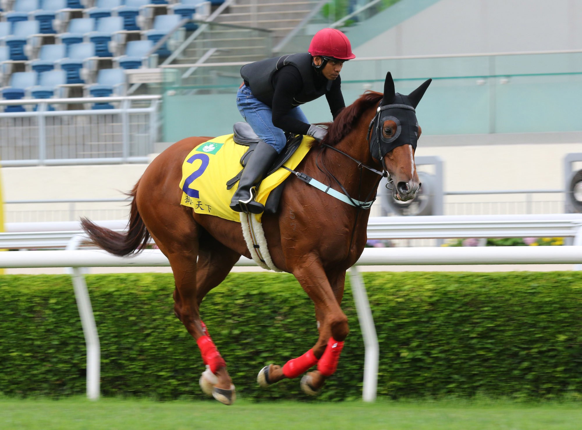 Out To Win gallops at Sha Tin on Thursday morning.