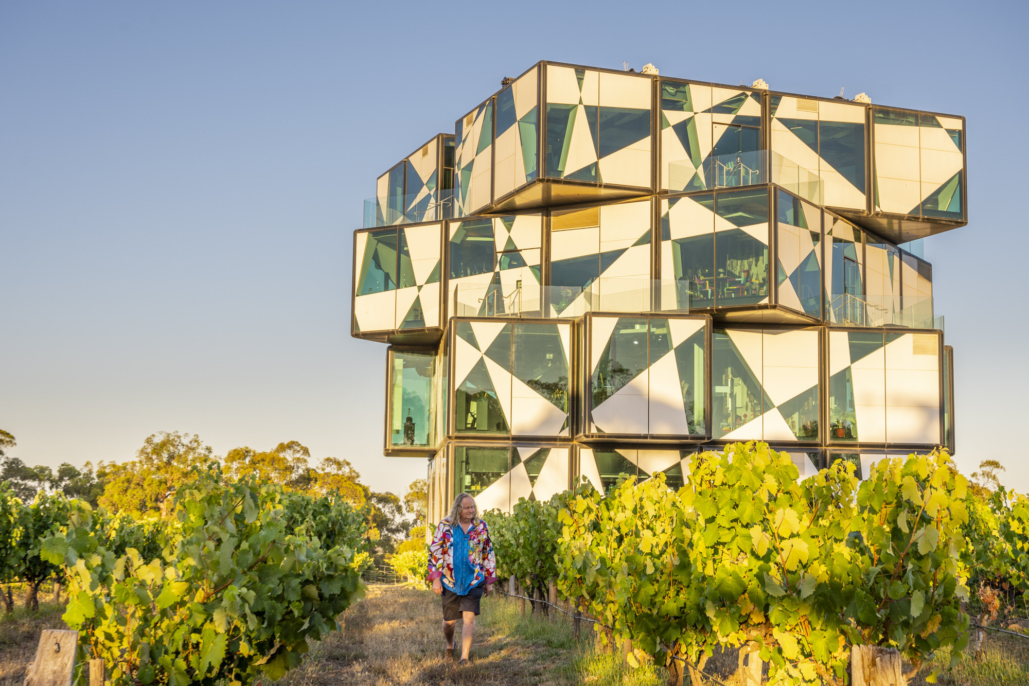 ‘There are cow horns with poo’ a vineyard tour of McLaren Vale, centre