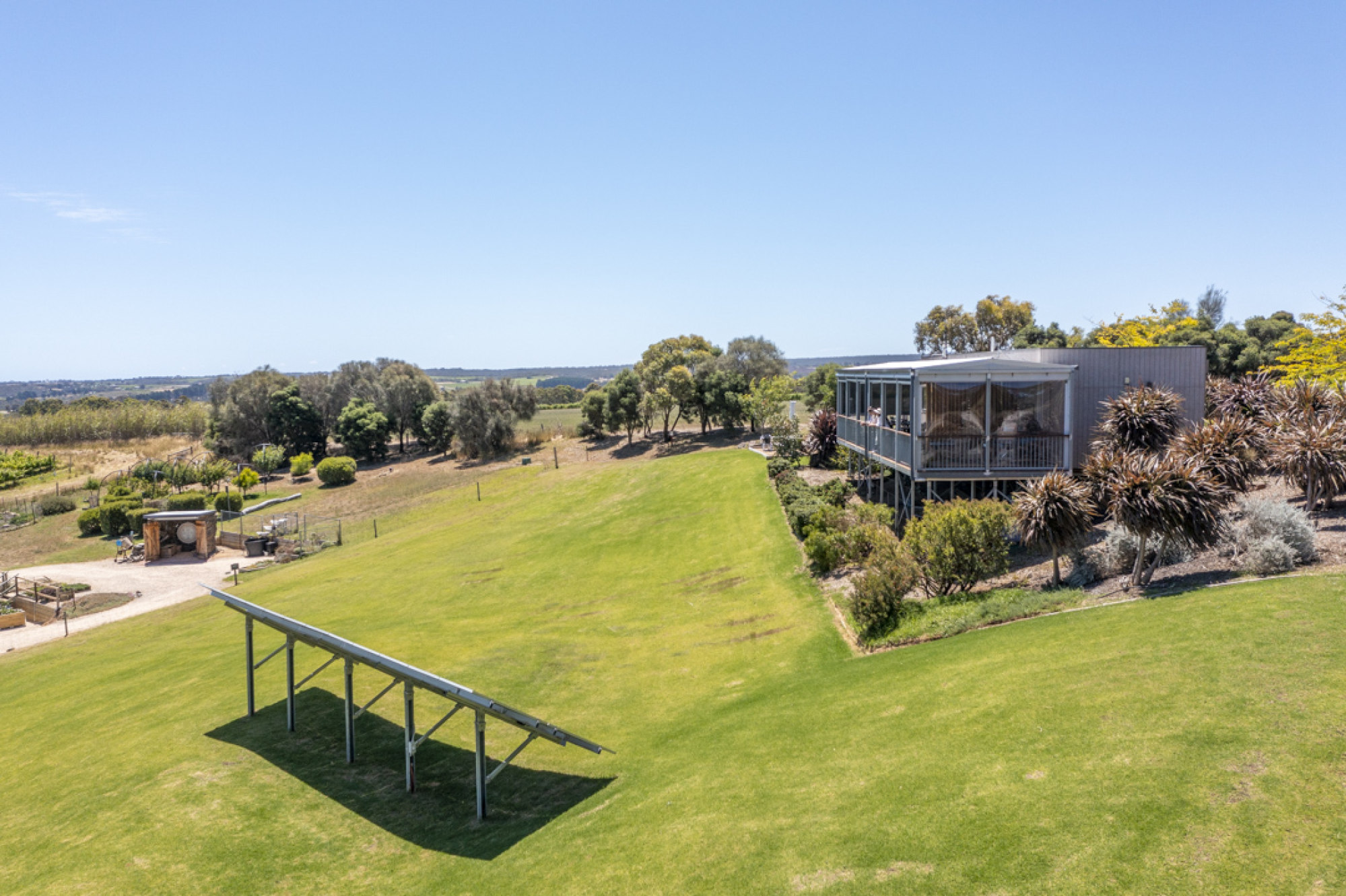 ‘There are cow horns with poo’ a vineyard tour of McLaren Vale, centre