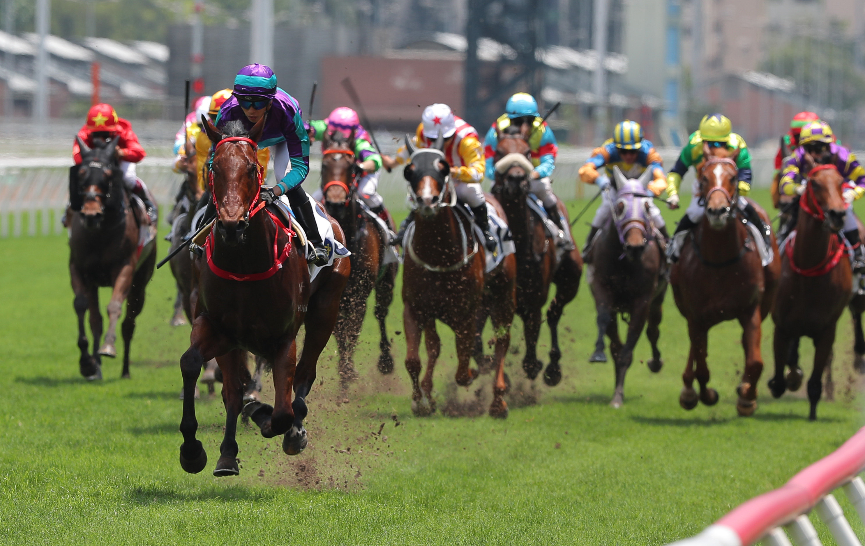 Dream Winner leaves his Class Four Hong Kong Sports Association For The Physically Disabled 50th Anniversary Cup (1,000m) rivals trailing in his wake at Sha Tin on Sunday. Photo: Kenneth Chan