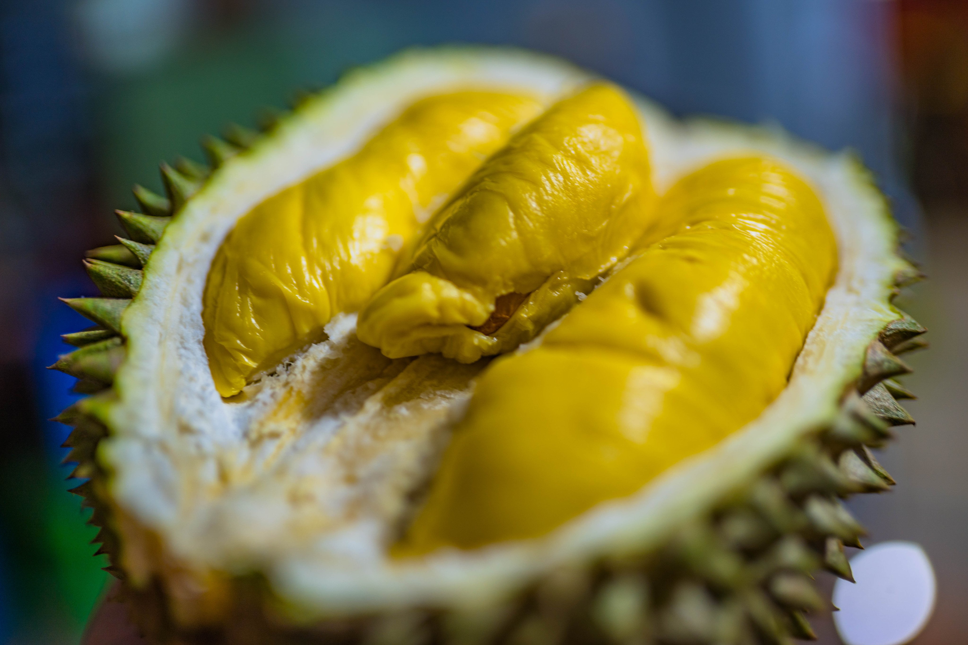 A Musang King durian from Malaysia. The country, among others, is monitoring China’s progress in producing the fruit in case it becomes a major rival. Photo: Shutterstock